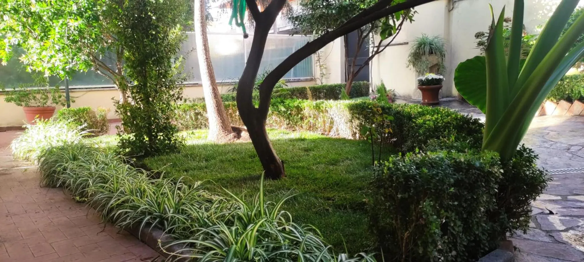 Garden in Villa Angeli