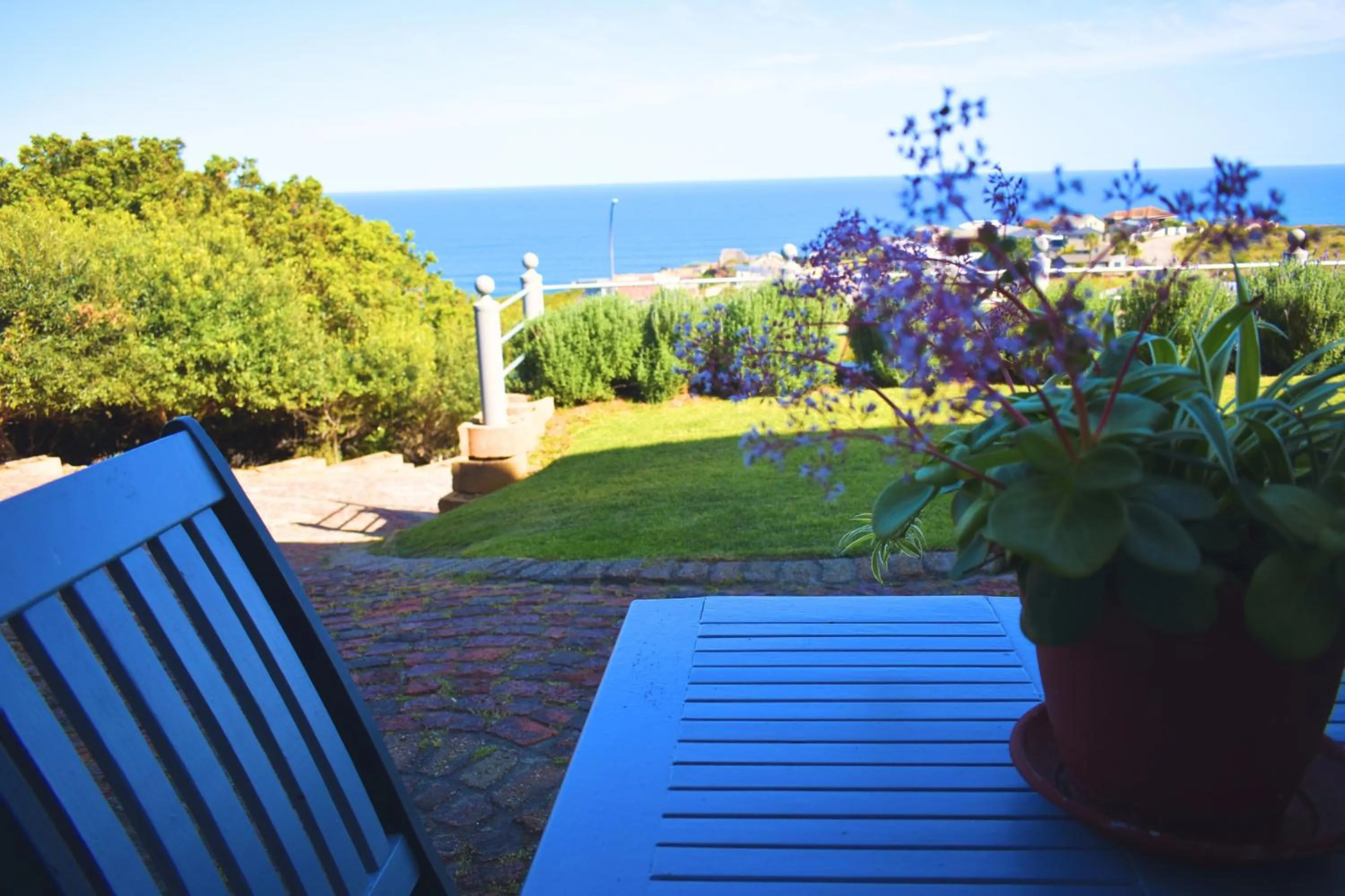 Garden view in Amzee Bokmakierie Guest House