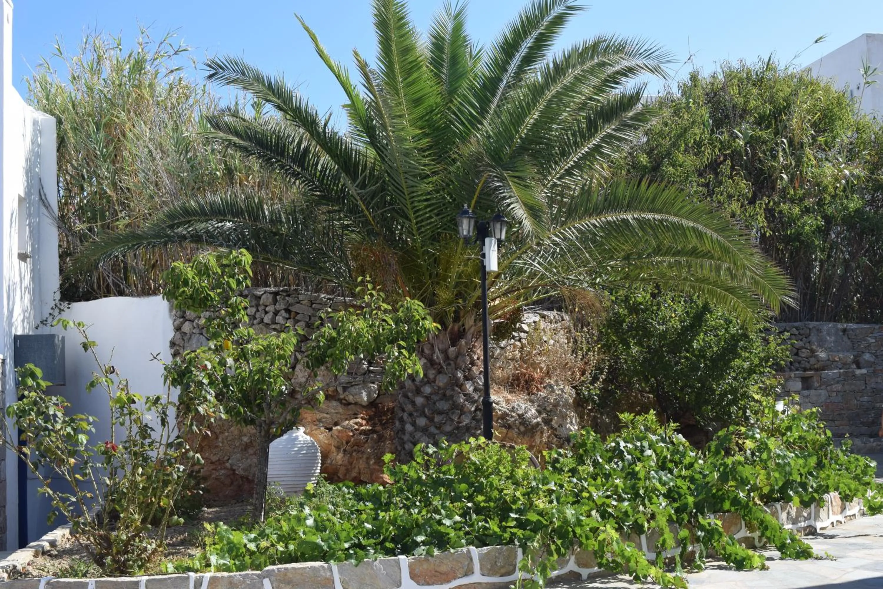 Garden in Paraporti