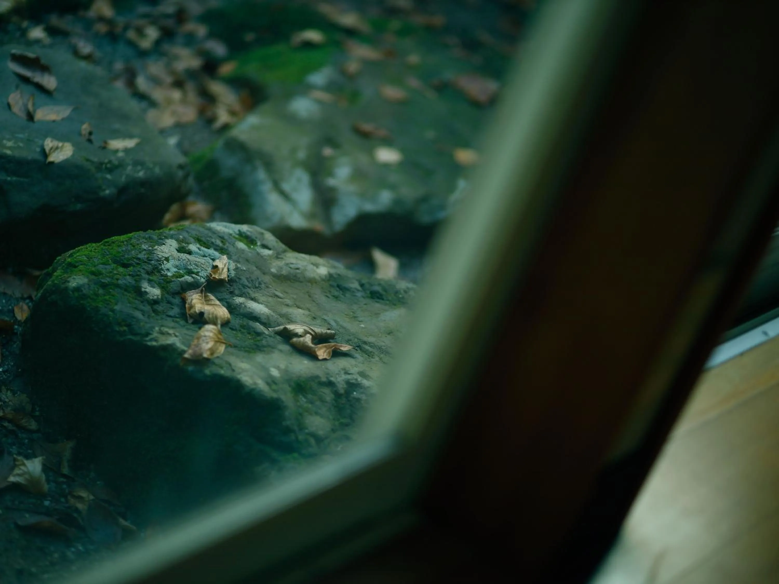 Area and facilities in 宿坊 端場坊｜Temple Hotel Habanobo