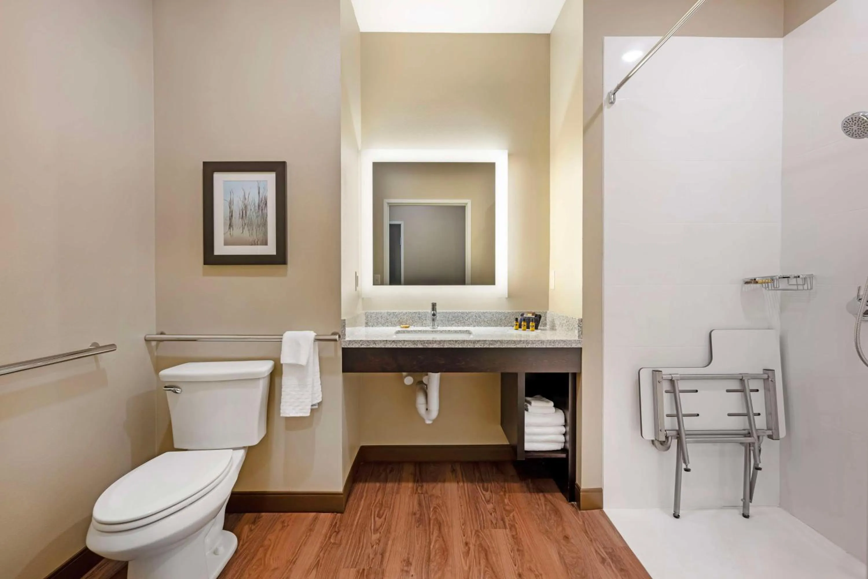 Bathroom in Best Western Plus Lakeview Hotel