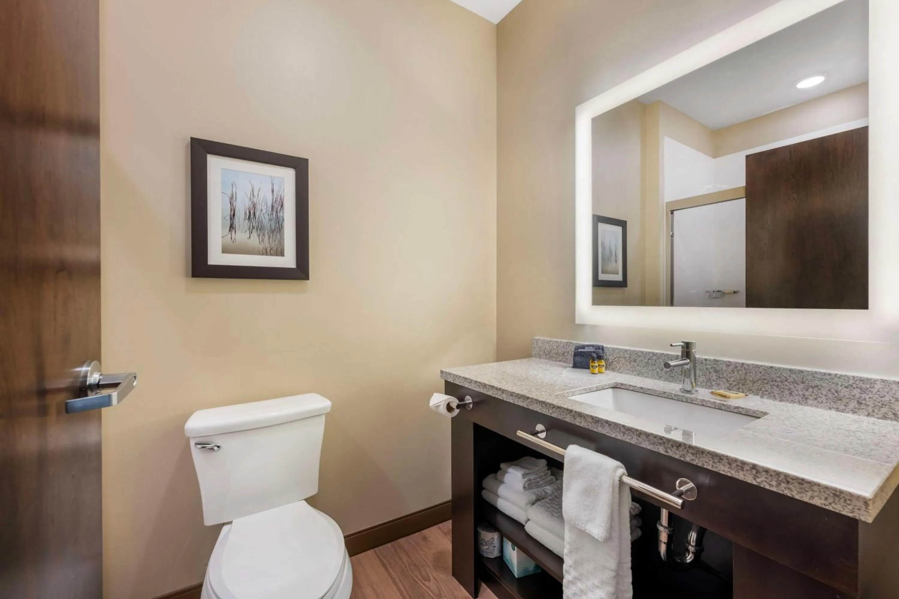 Bathroom in Best Western Plus Lakeview Hotel