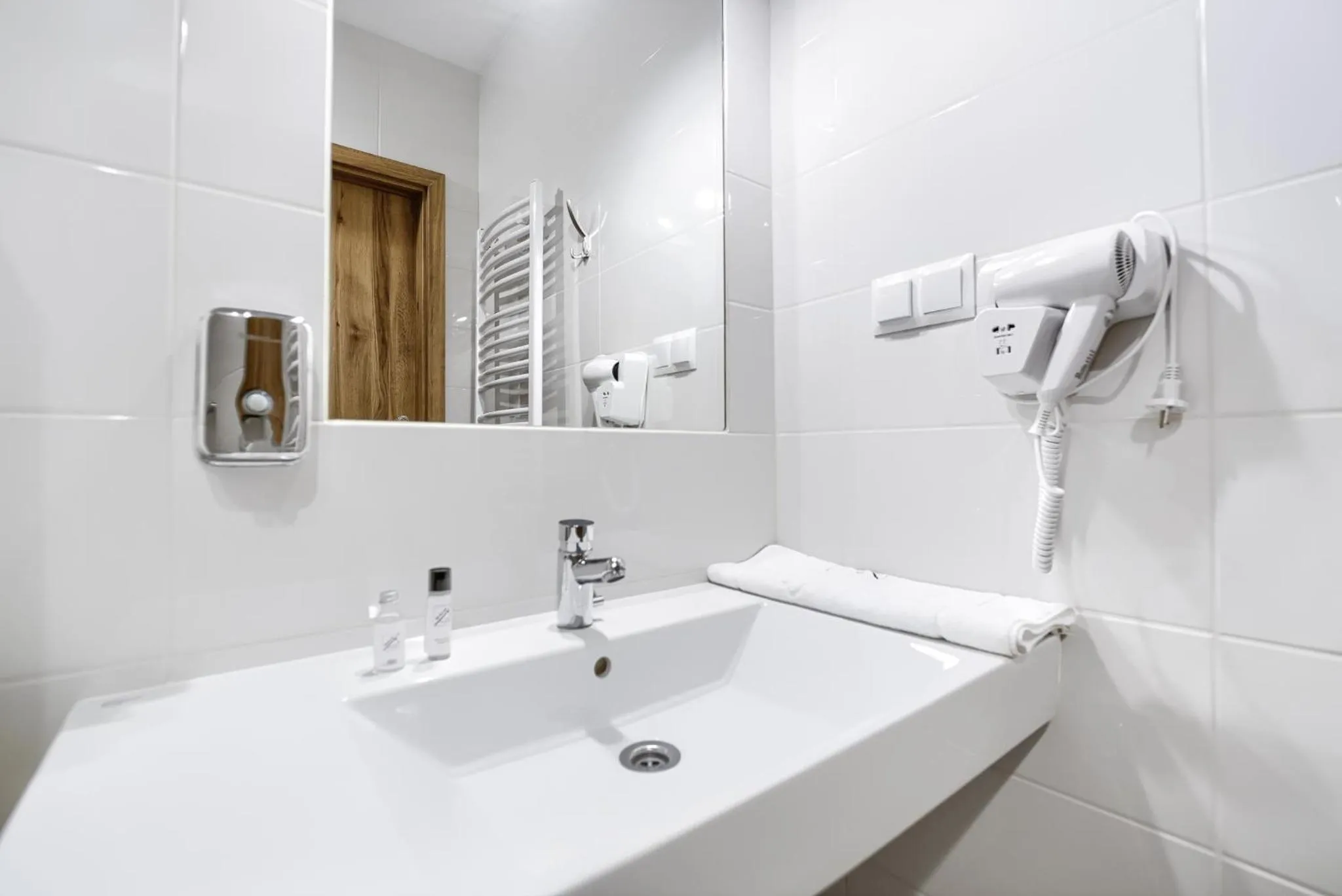 Shower in Hotel Bosak