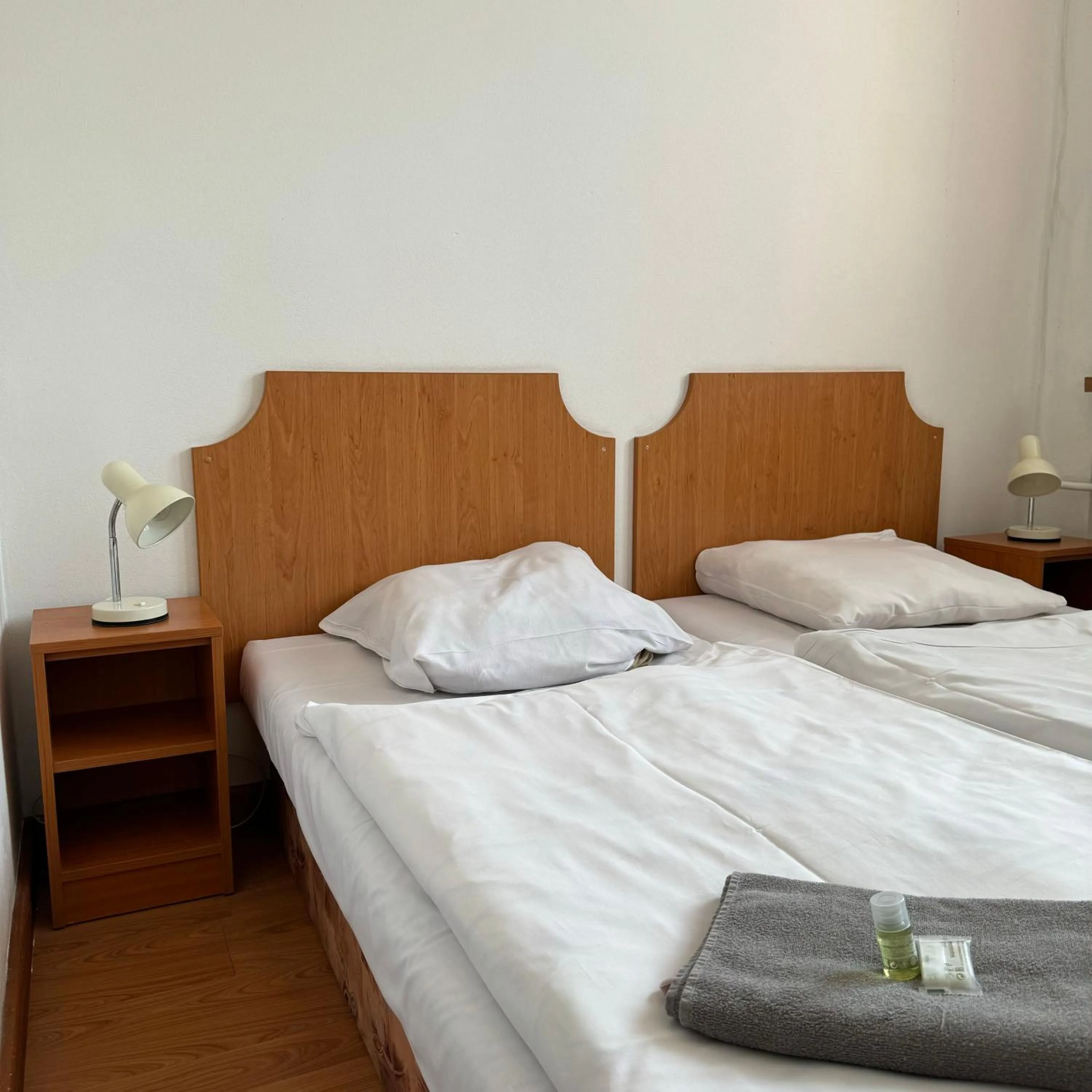 Photo of the whole room, Bed in Hotel Avion