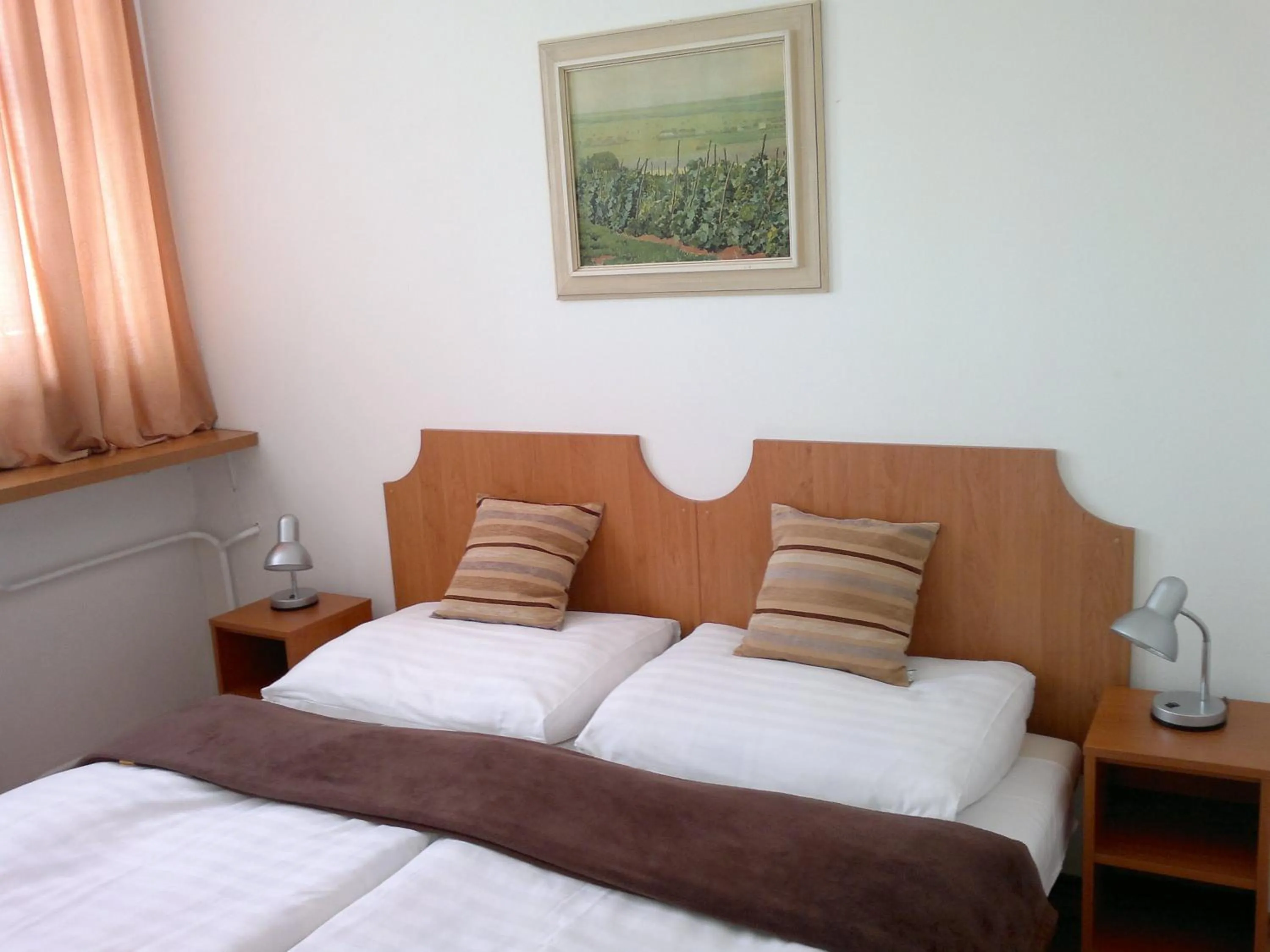 Photo of the whole room, Bed in Hotel Avion