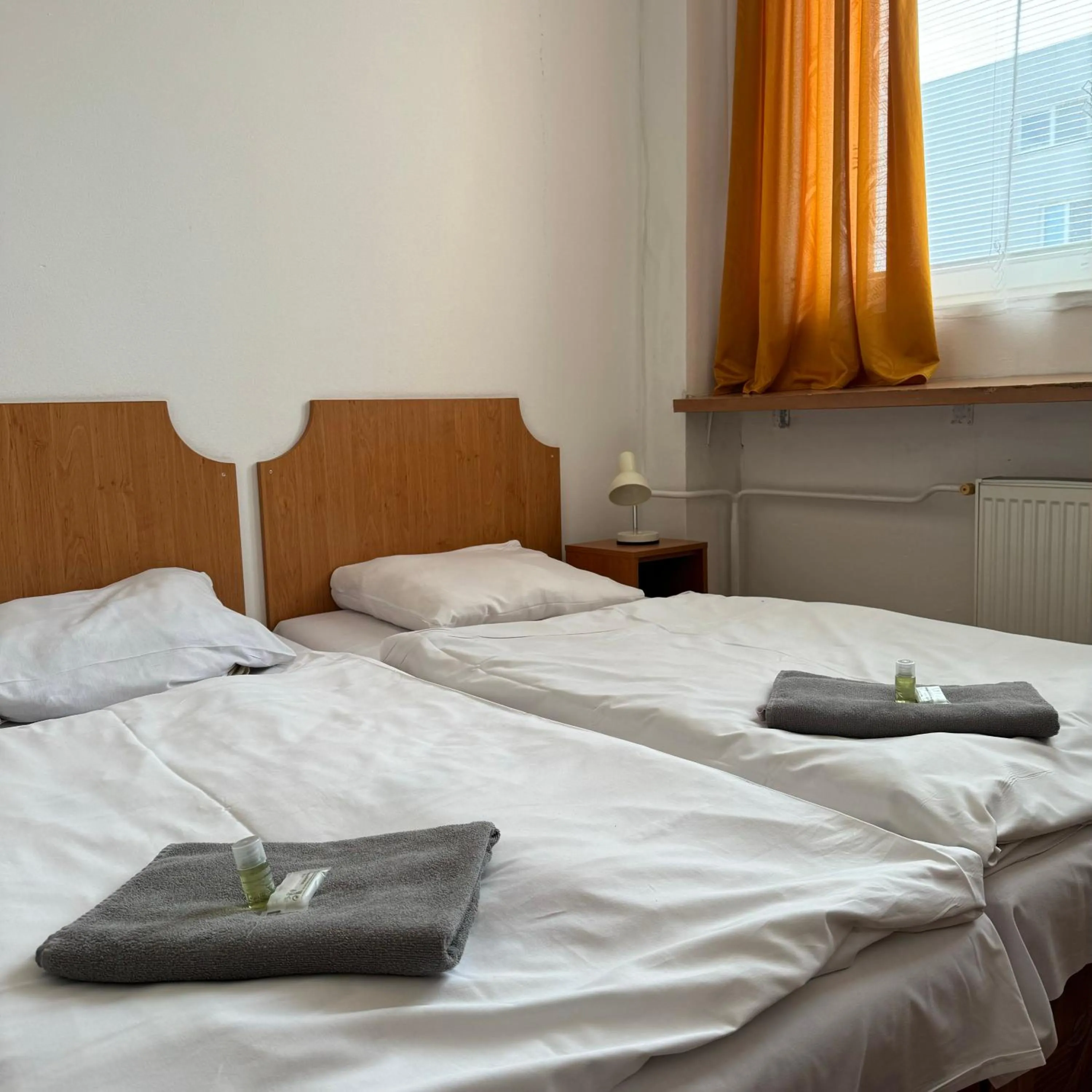 Photo of the whole room, Bed in Hotel Avion