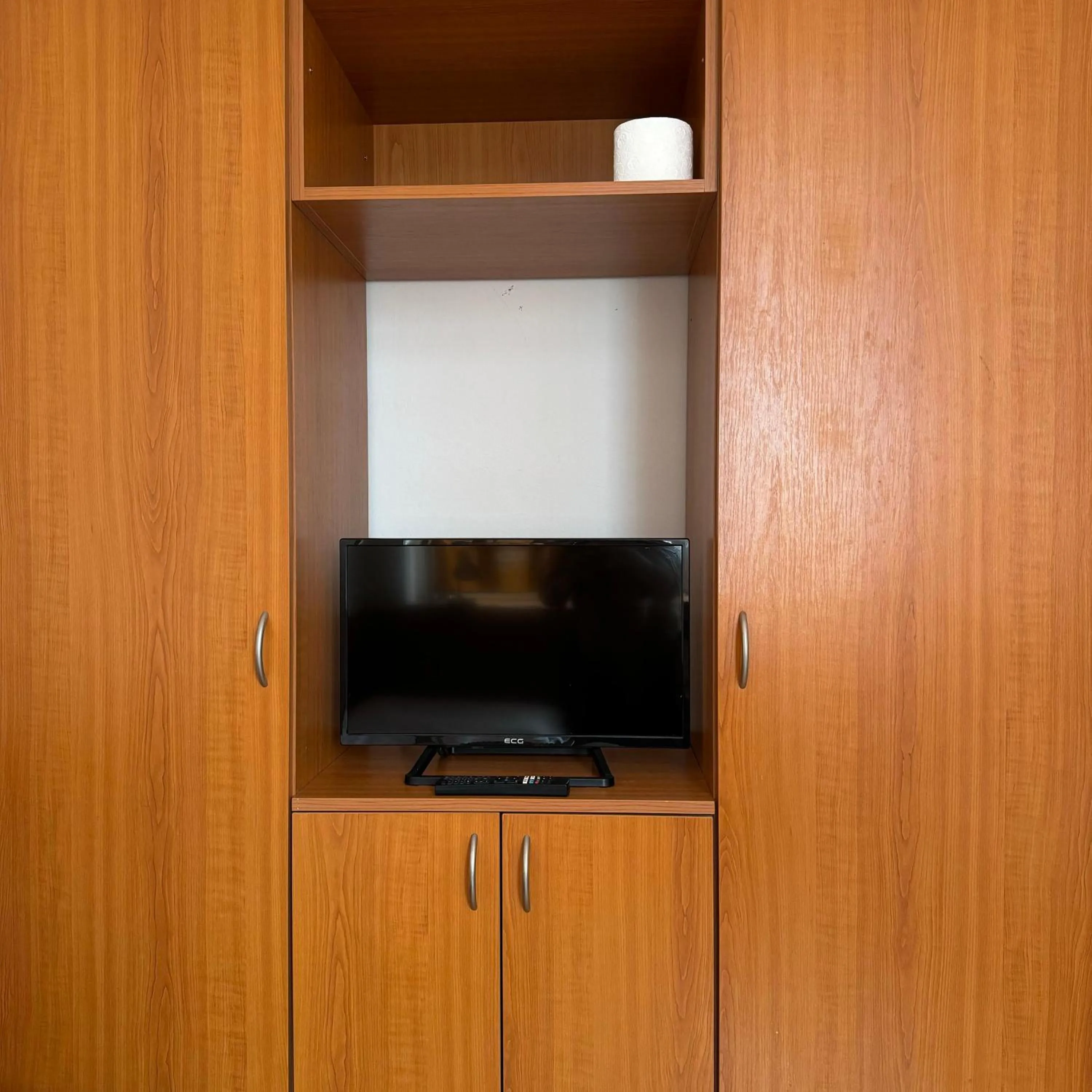 TV and multimedia in Hotel Avion