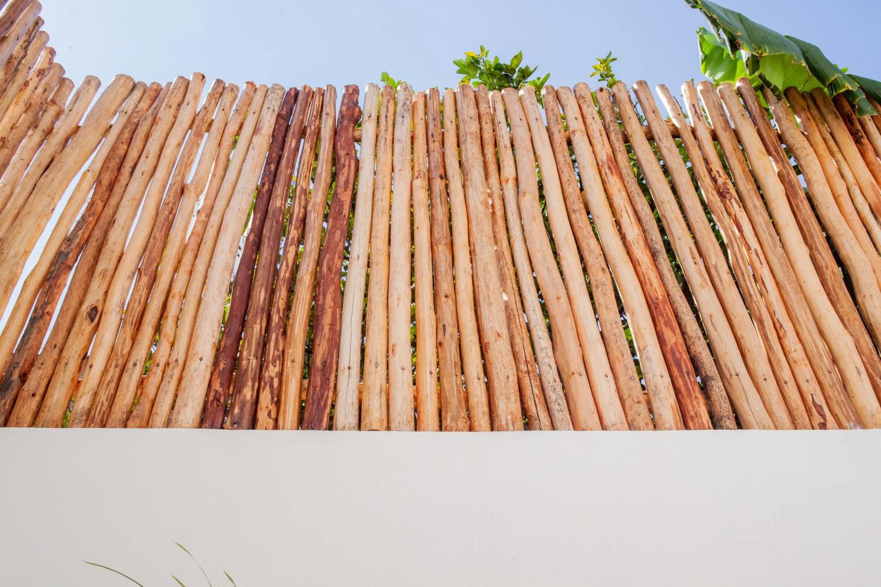 Casa Tulita Valladolid