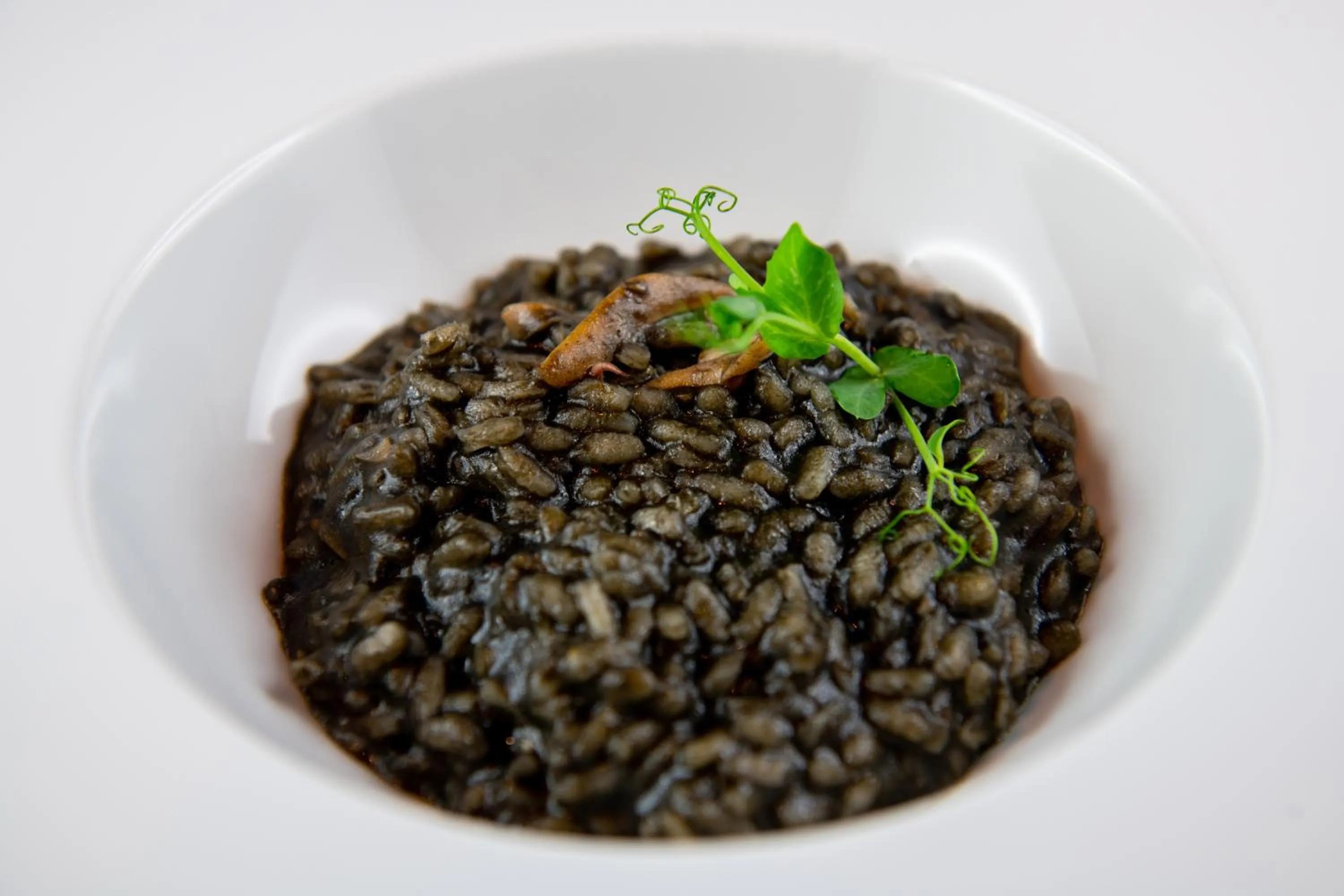 Restaurant/places to eat in Hotel Autoespresso Venice - Atika & Atif