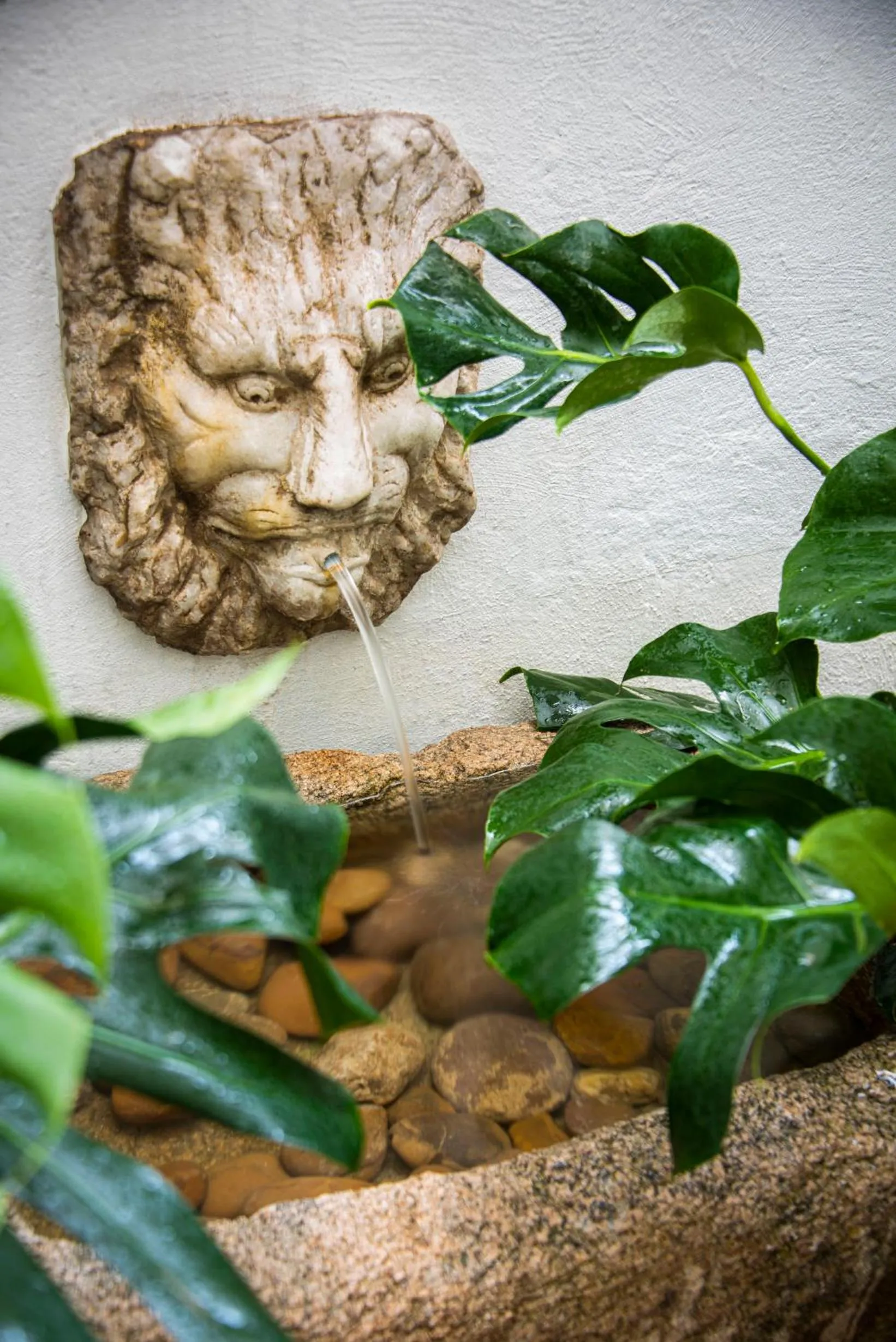 Patio in Casa de Triana Luxury Suites by Casa del Poeta