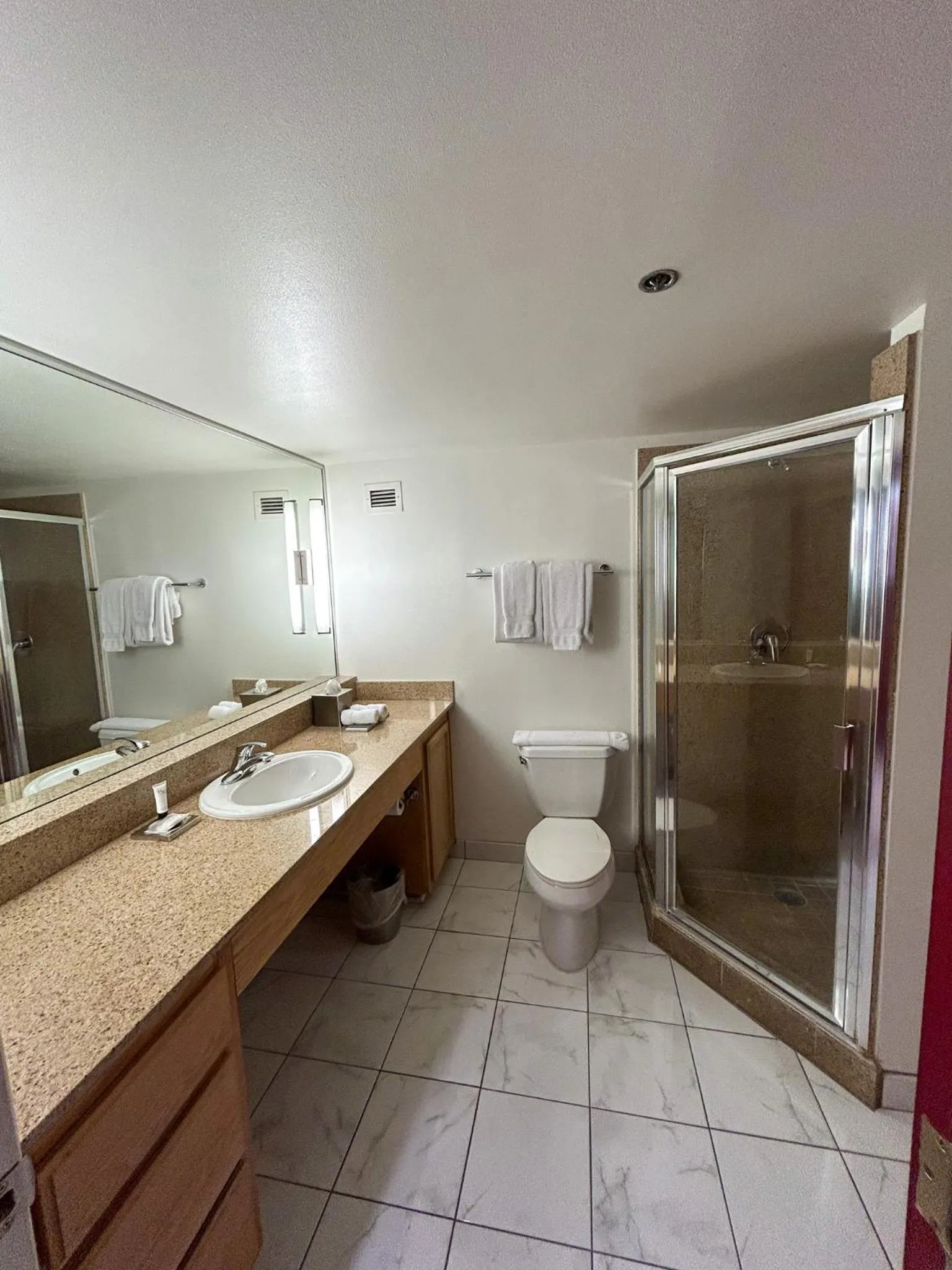 Bathroom in Downtown Grand Hotel & Casino