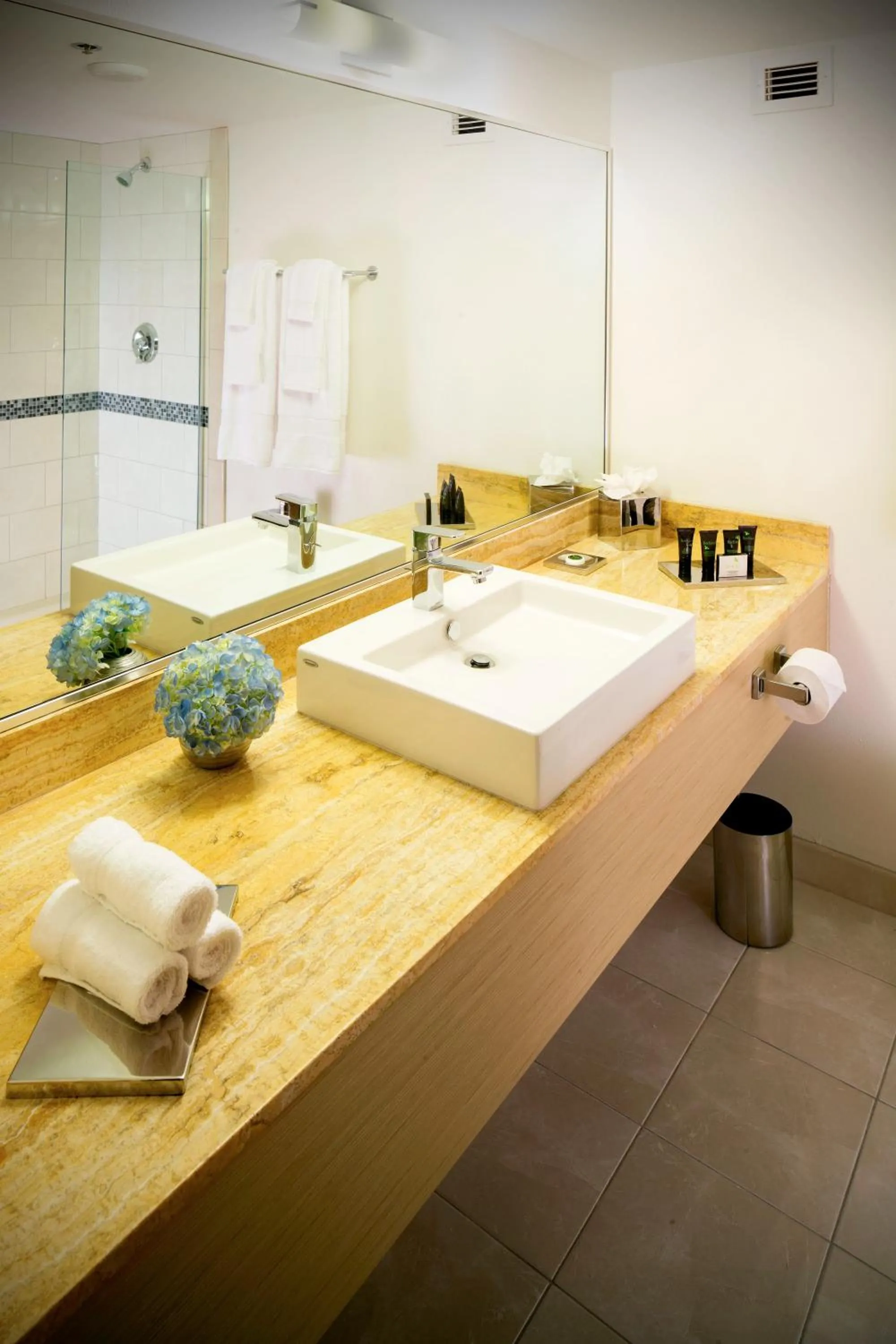 Bathroom in Downtown Grand Hotel & Casino