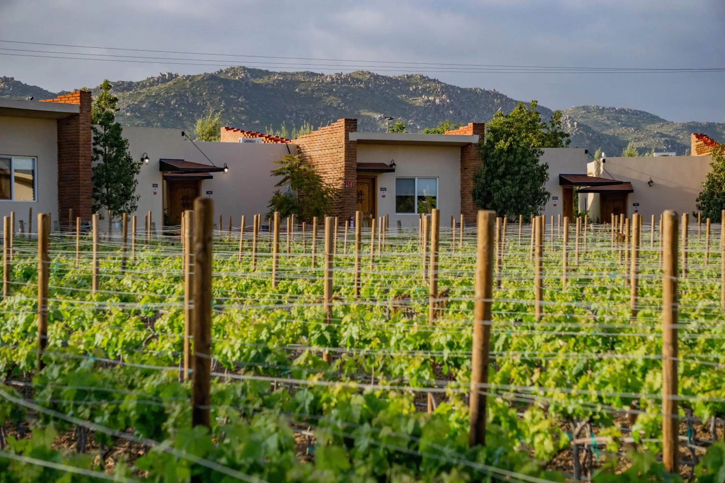 Property building in OJO AZUL RESORT