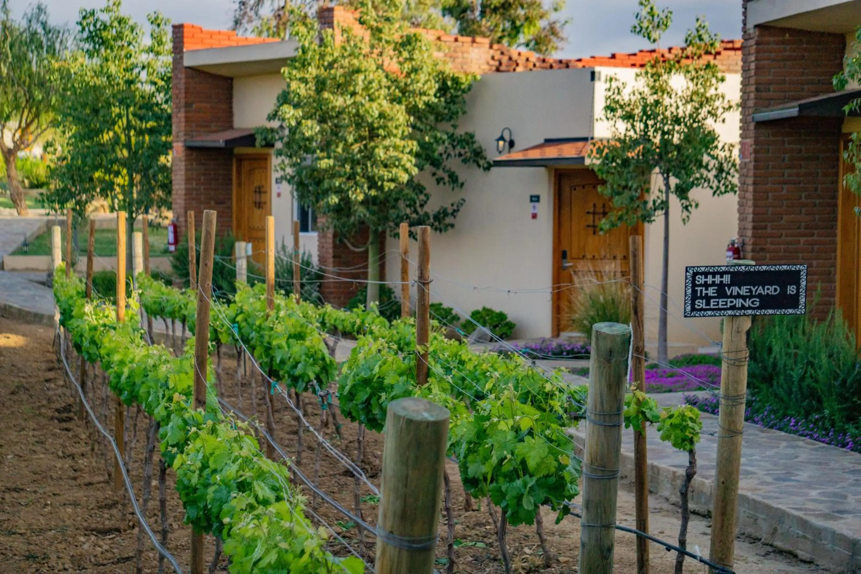 Property building in OJO AZUL RESORT