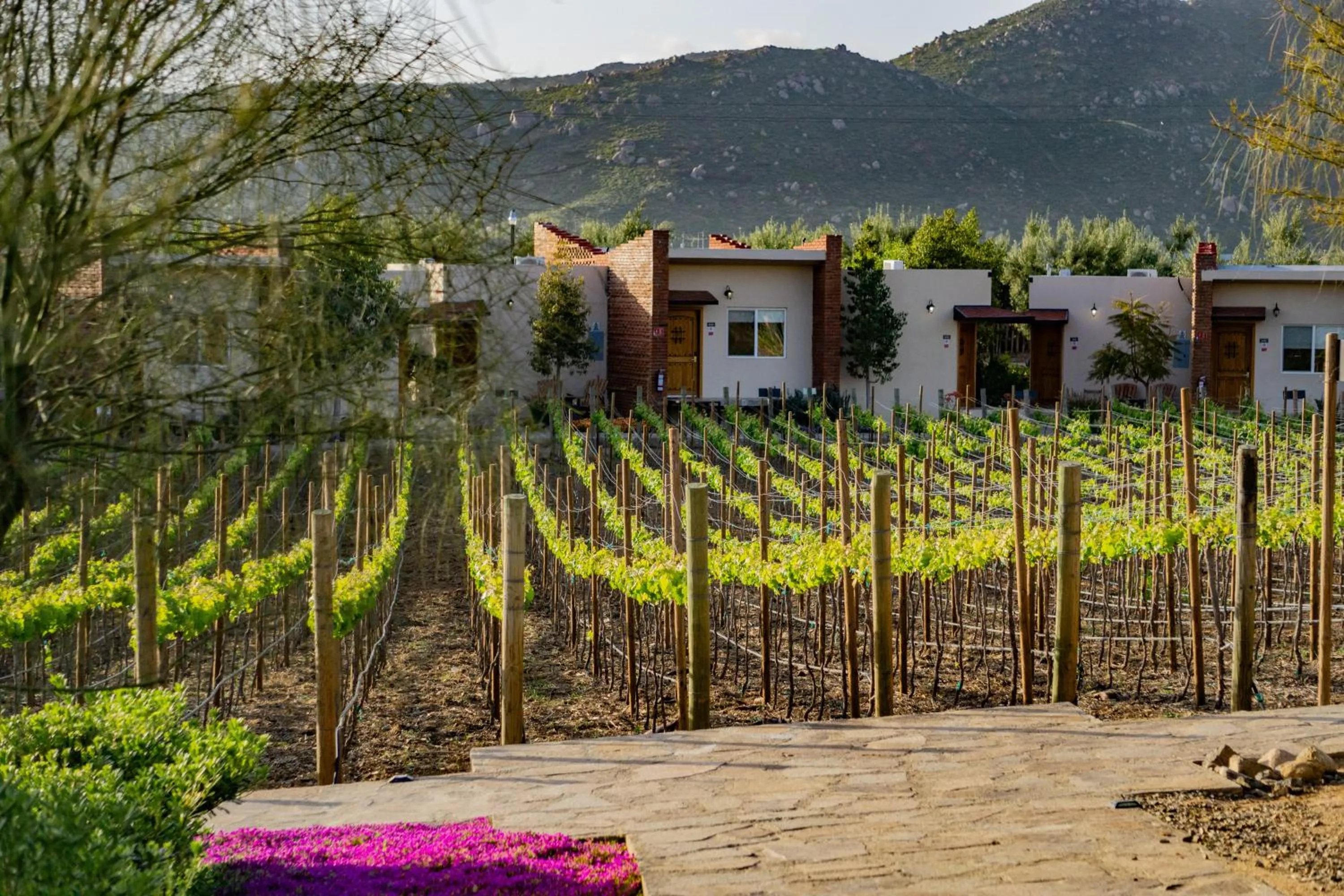 Natural landscape in OJO AZUL RESORT