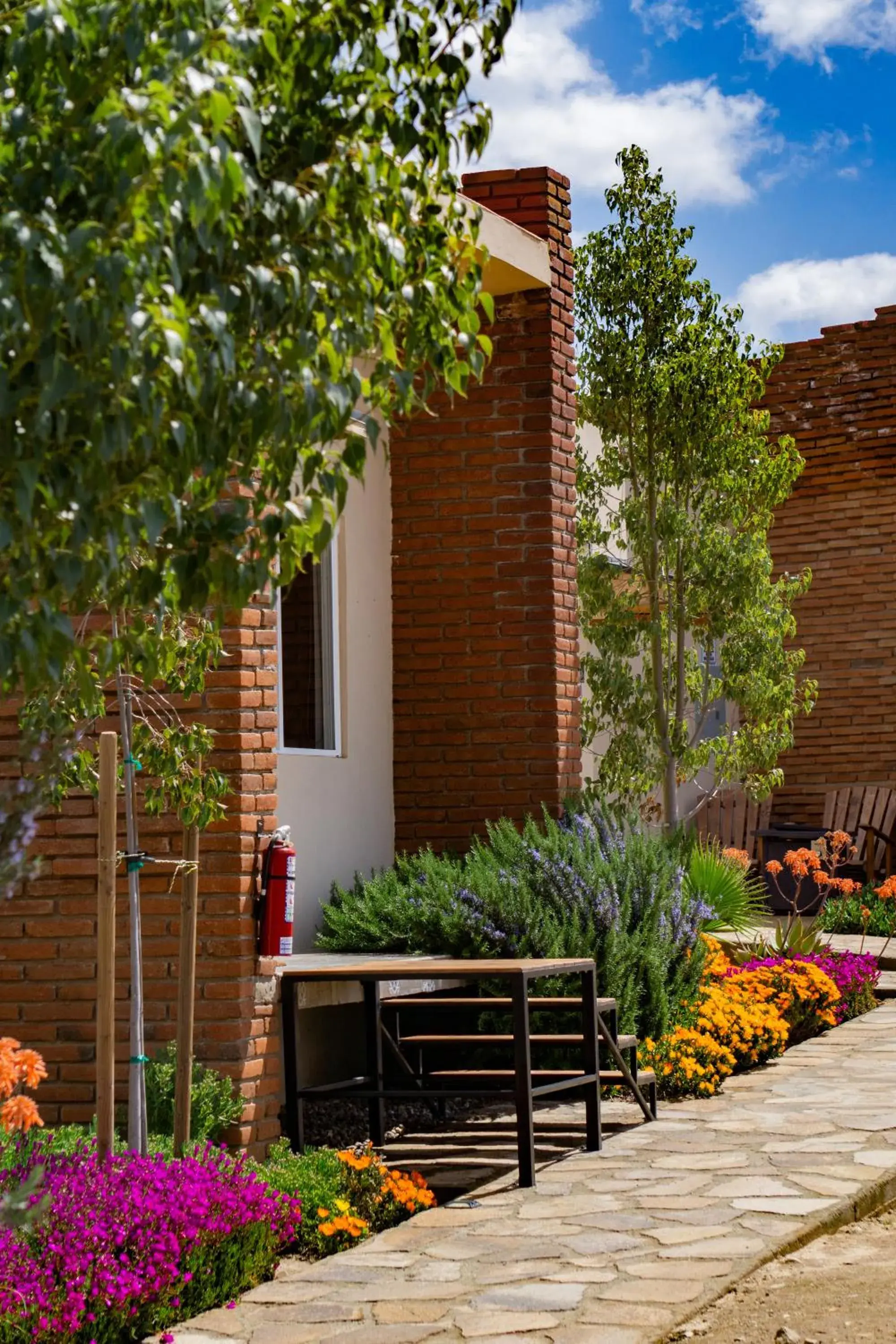 Deluxe King Room in OJO AZUL RESORT Deluxe King Room in OJO AZUL RESORT