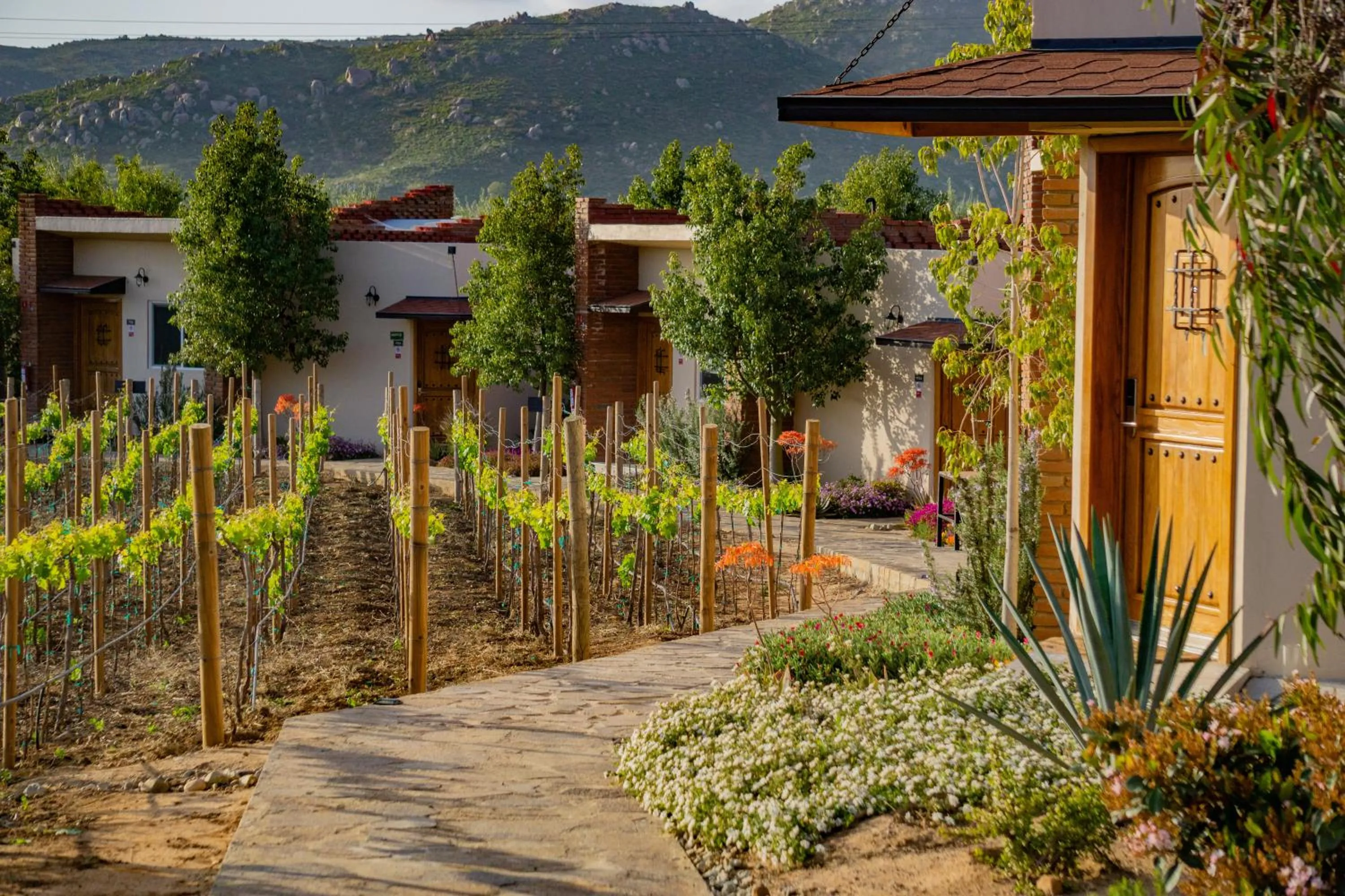 Property building in OJO AZUL RESORT