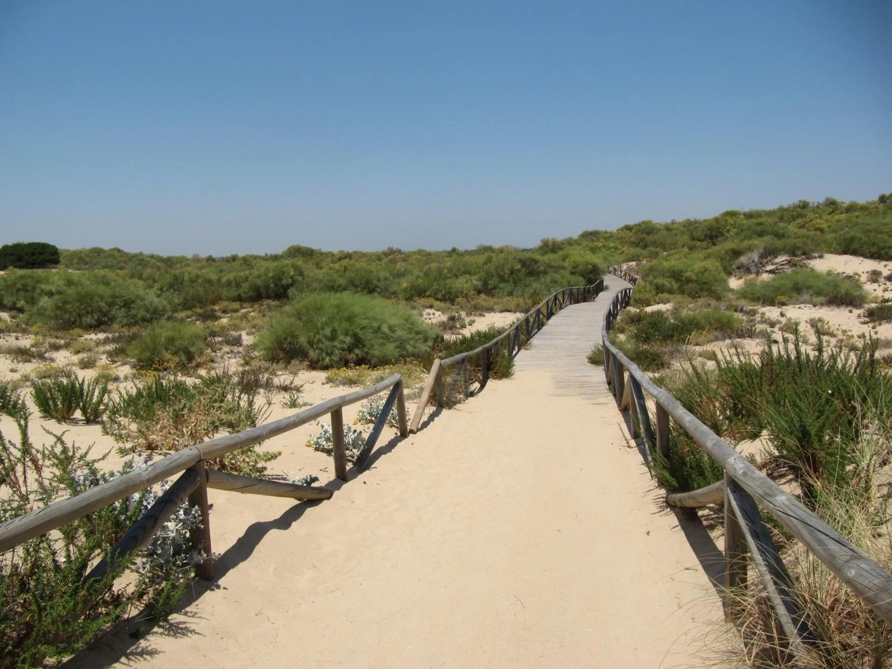 Area and facilities in Life Apartments El Rompido