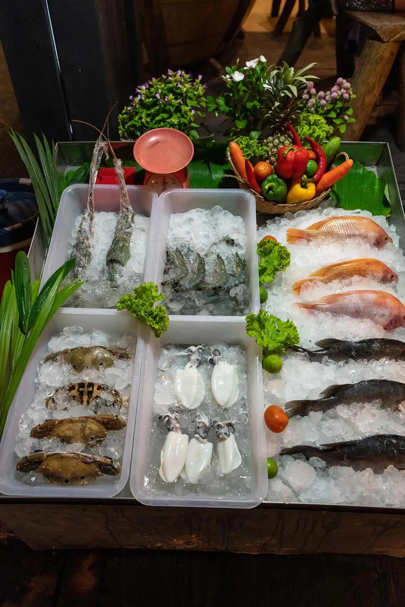 May House Karon Beach