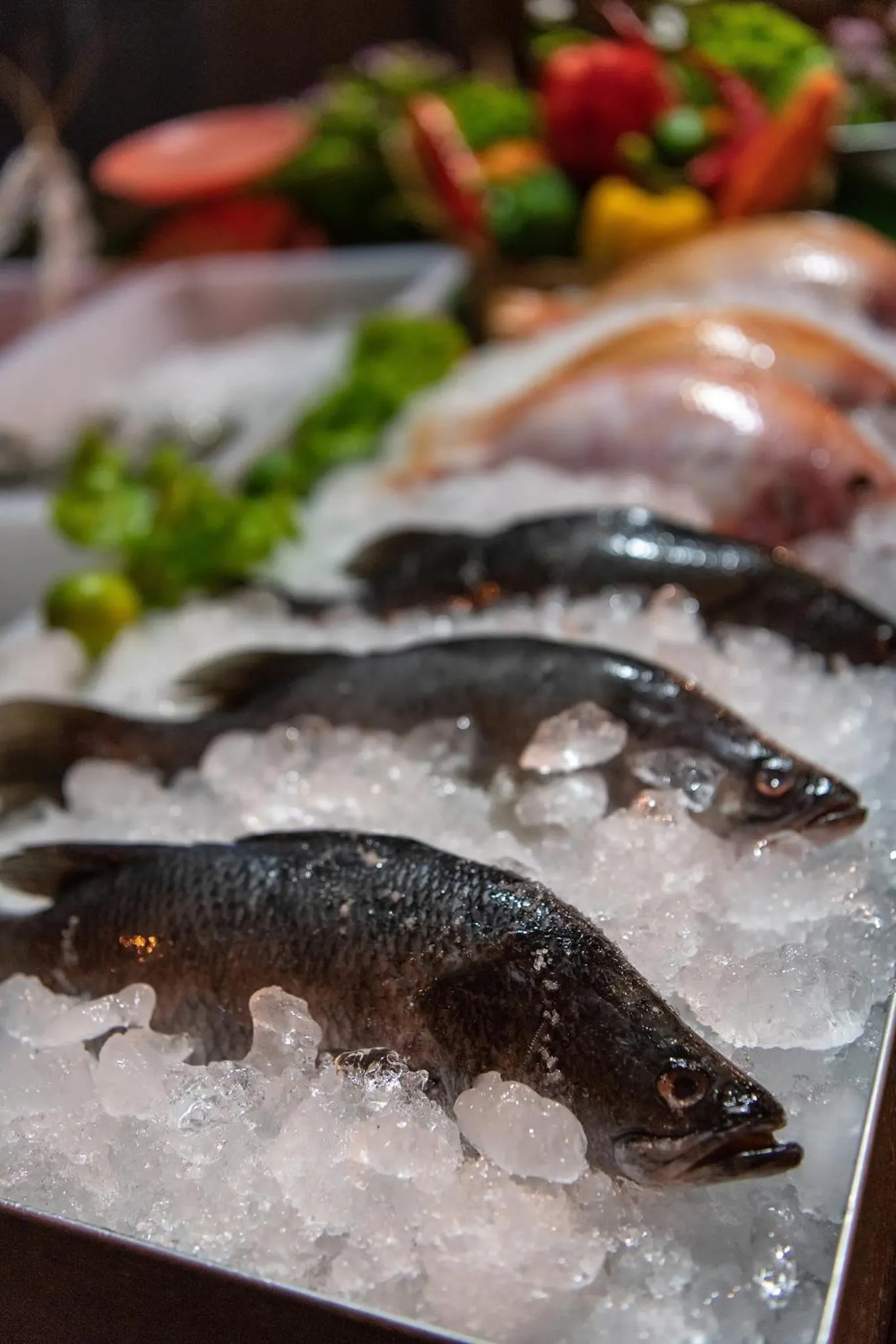 May House Karon Beach