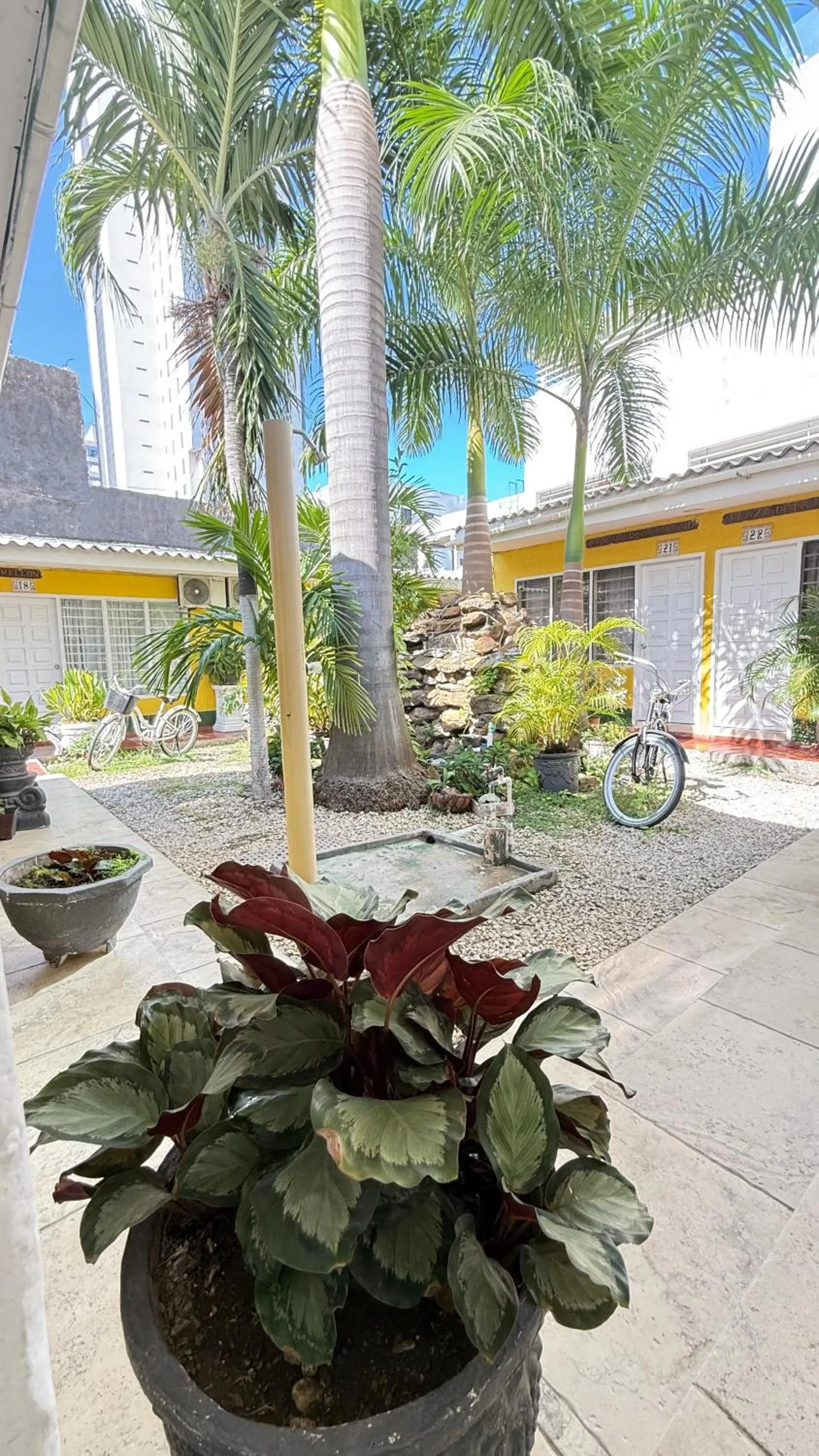 Garden in Hotel Balcones de Bocagrande