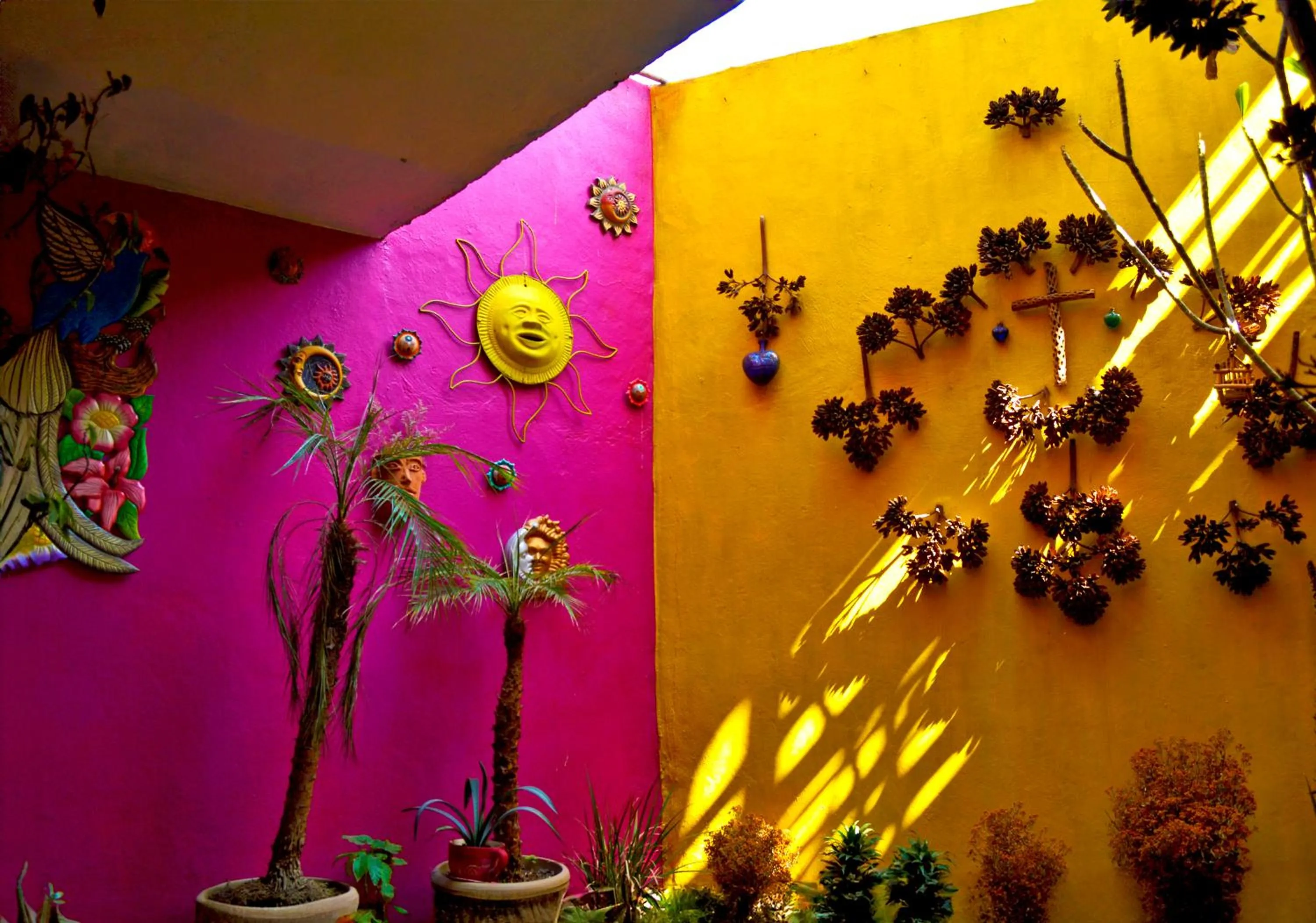 Garden in Posada del Fraile