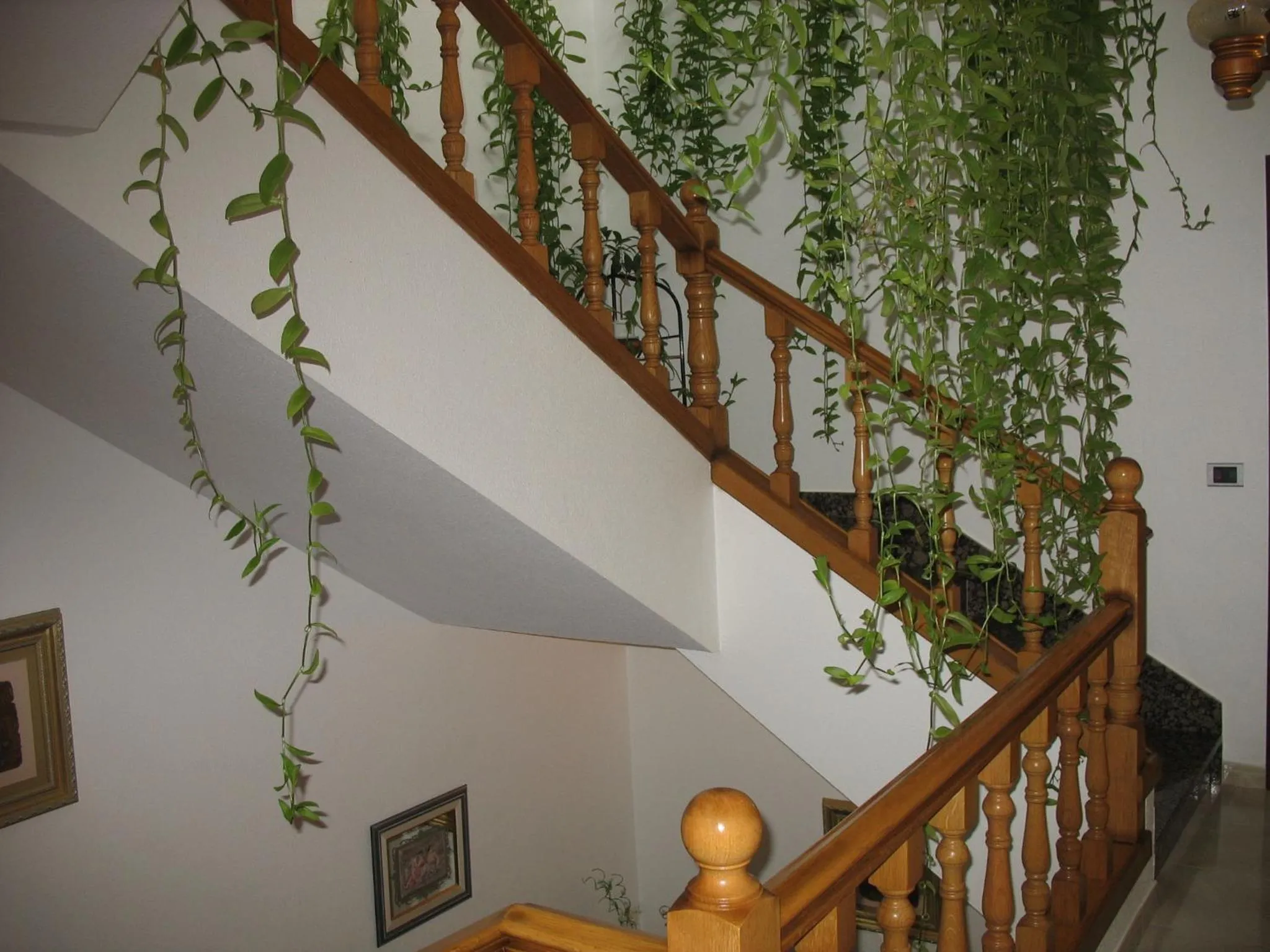 Lobby or reception in Hotel A Veiga