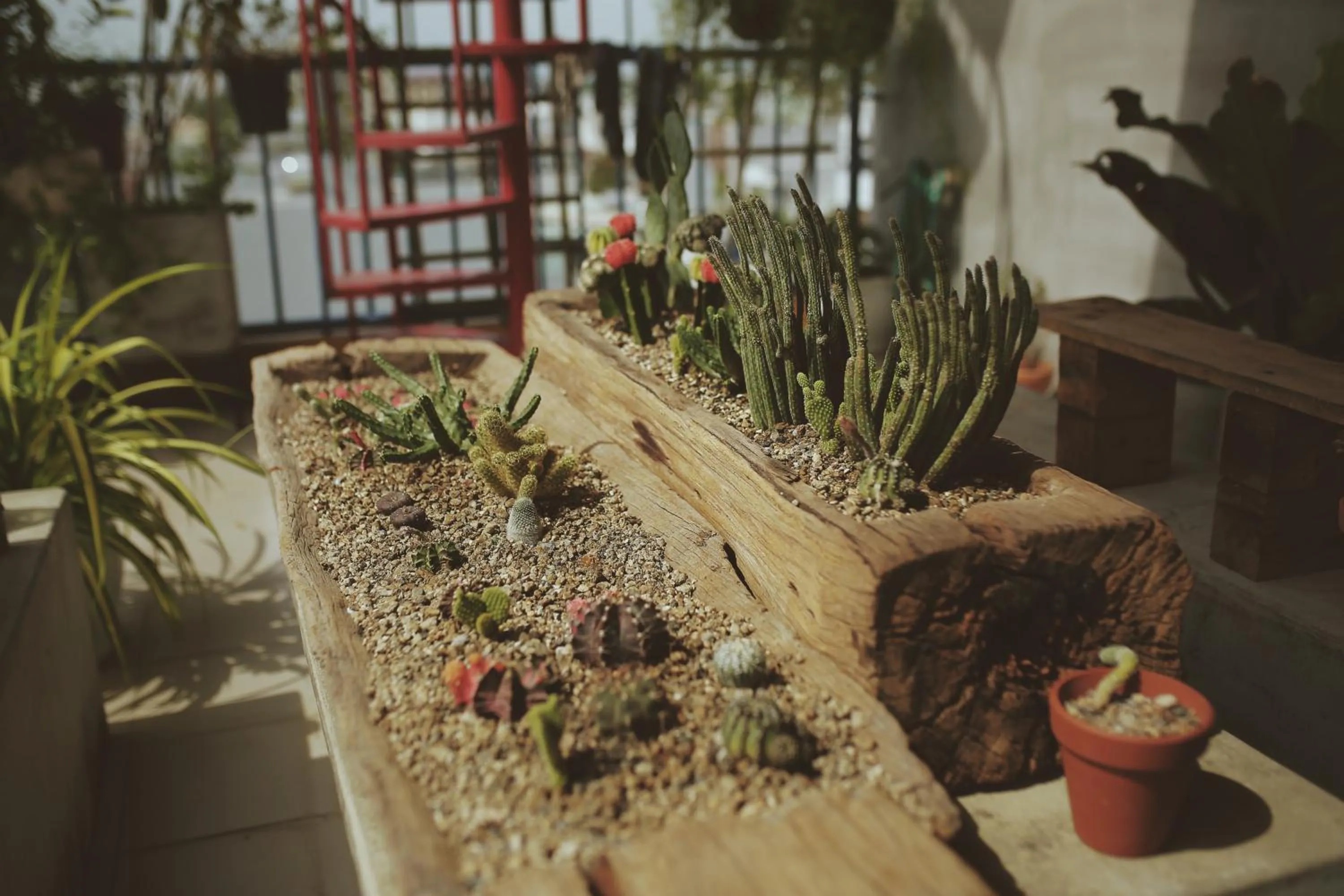 Natural landscape in La Maison Des Délices