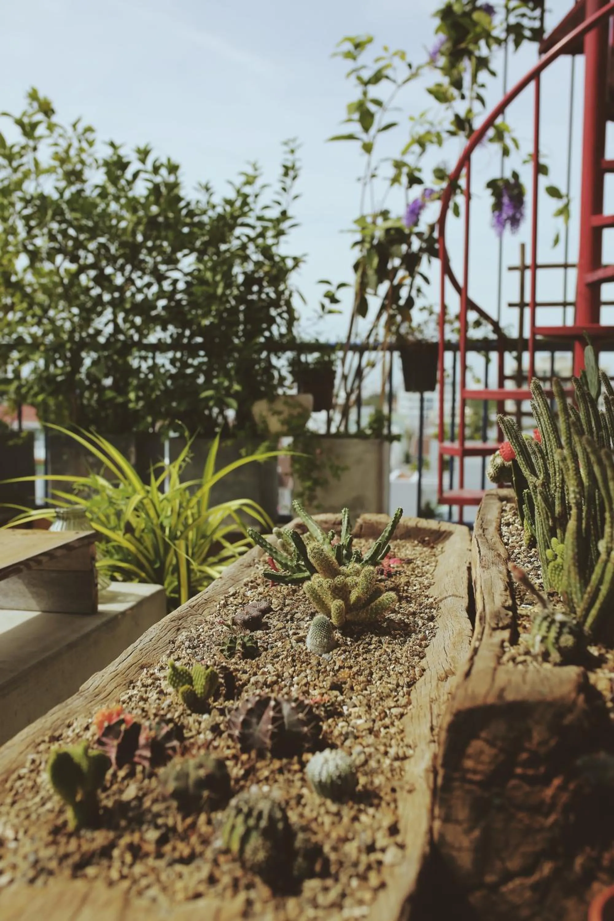 Natural landscape in La Maison Des Délices