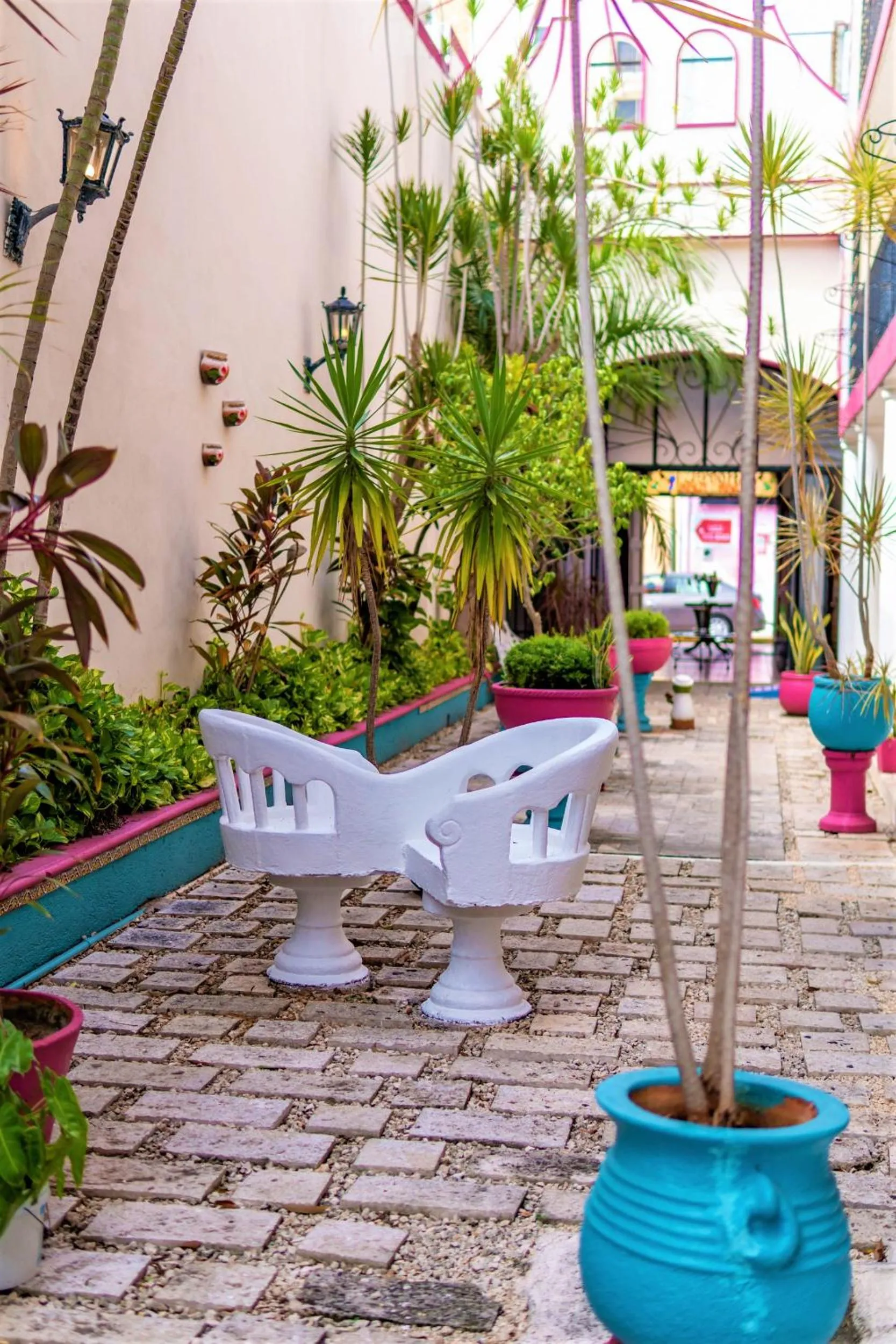 Garden in Hotel San Juan Mérida