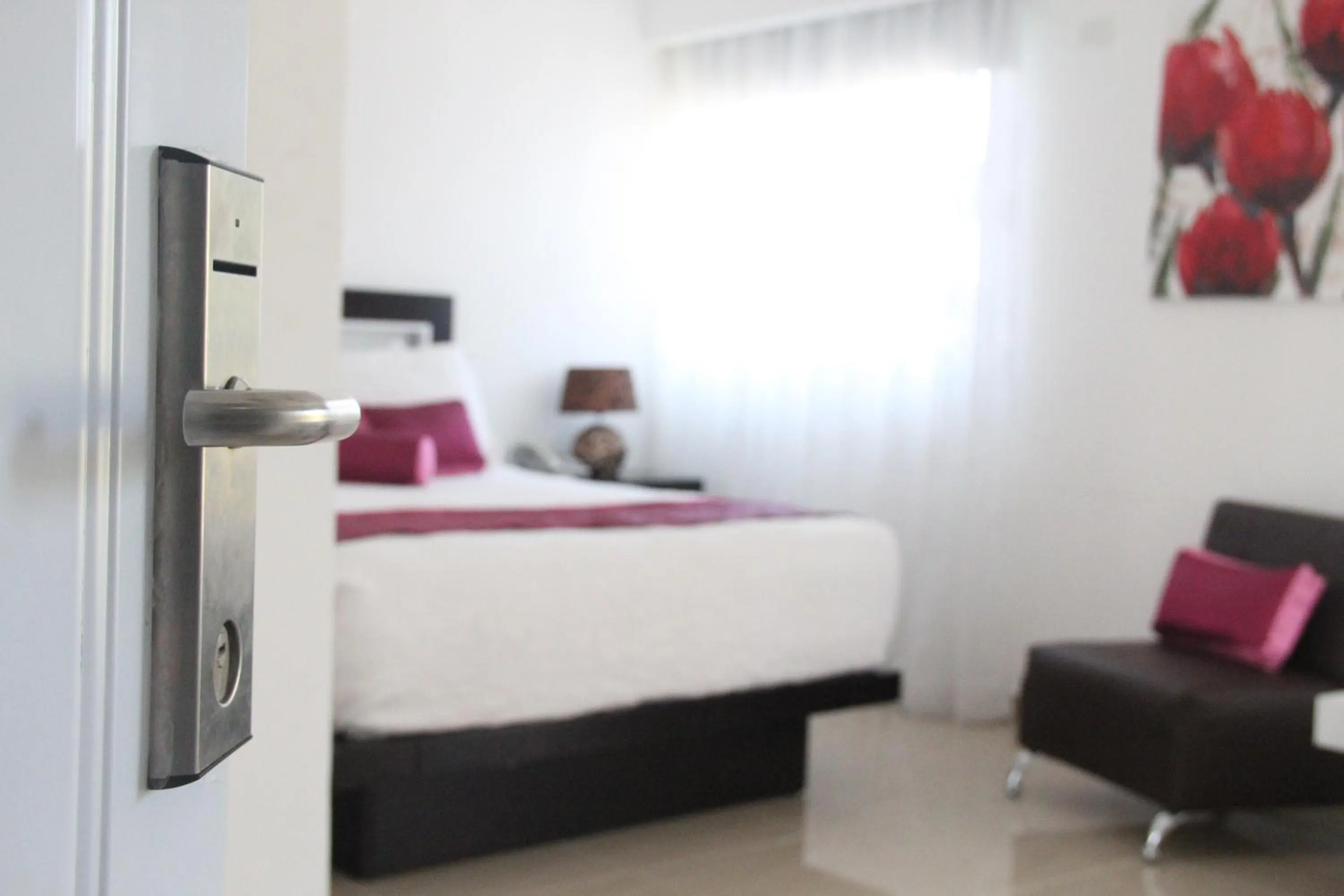 Photo of the whole room in Hostal San Francisco de Asis