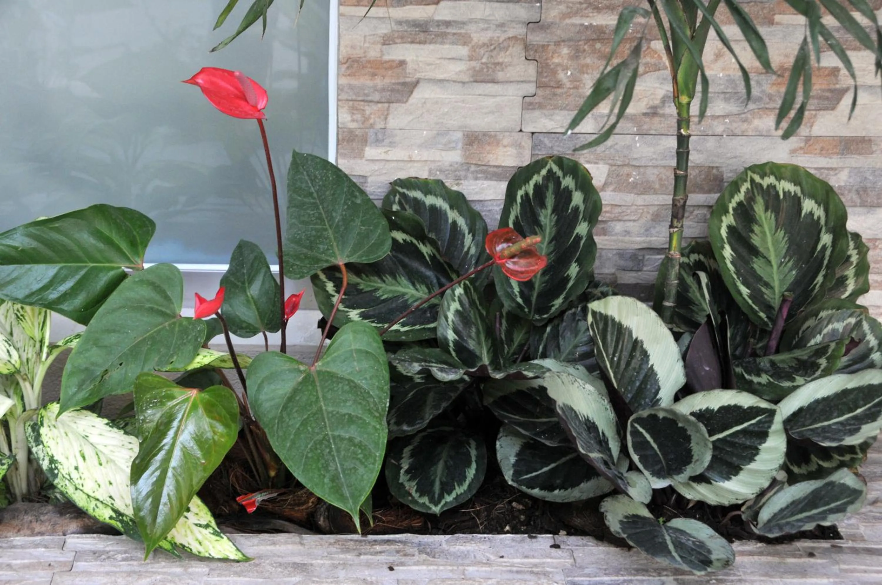 Day in Hostal San Francisco de Asis