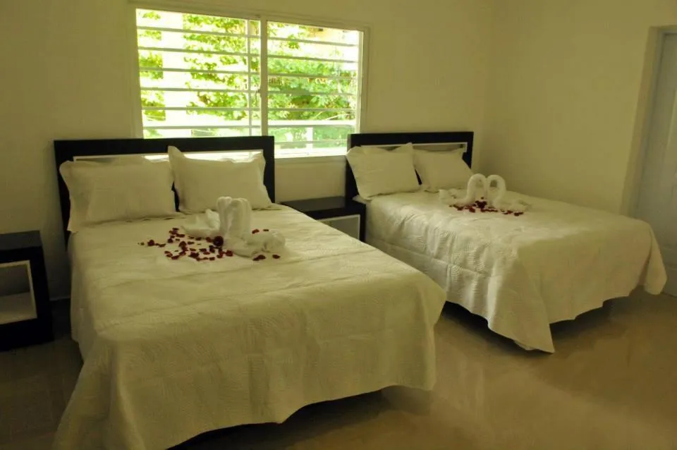 Day in Hostal San Francisco de Asis