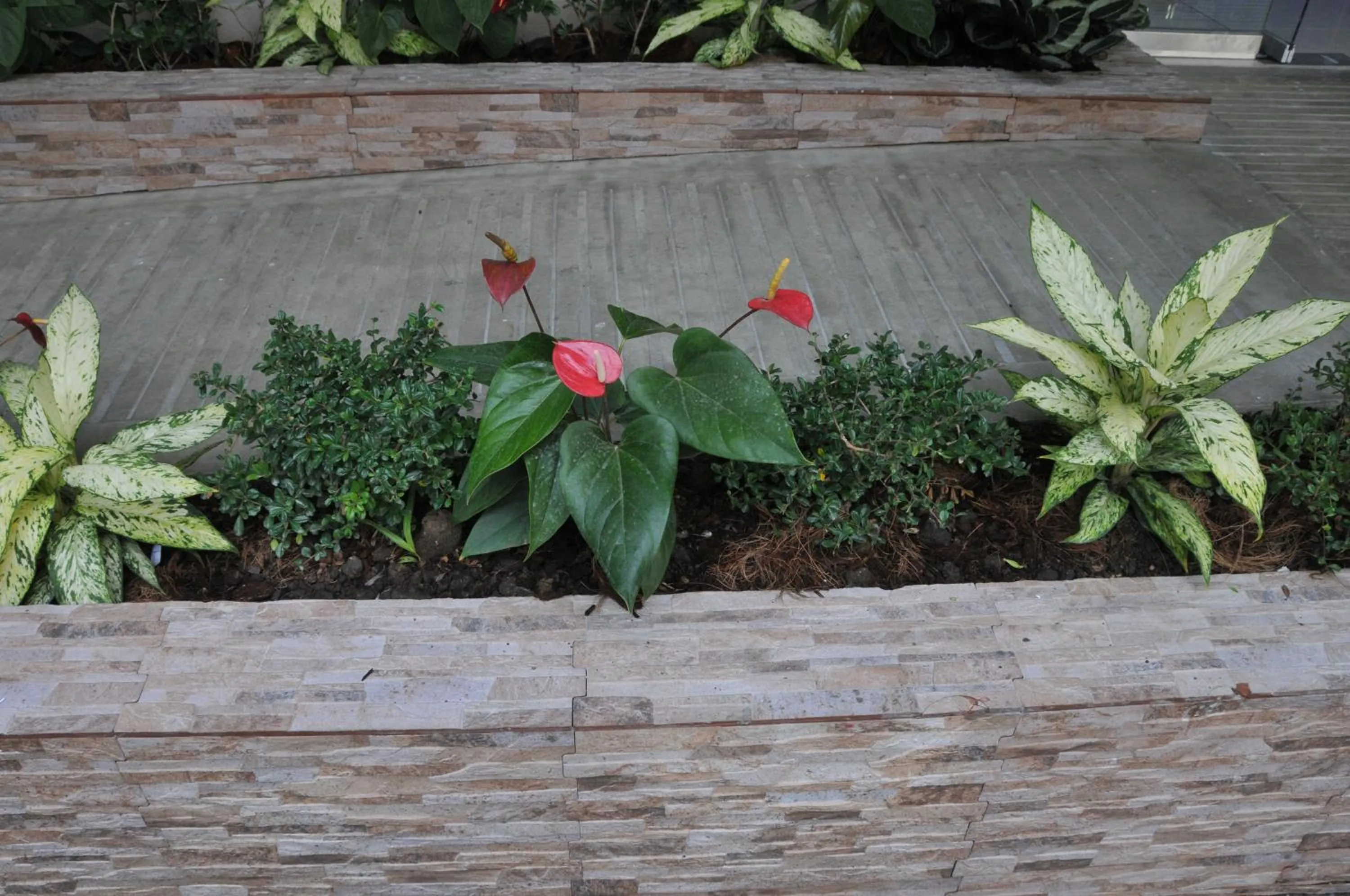 Day in Hostal San Francisco de Asis