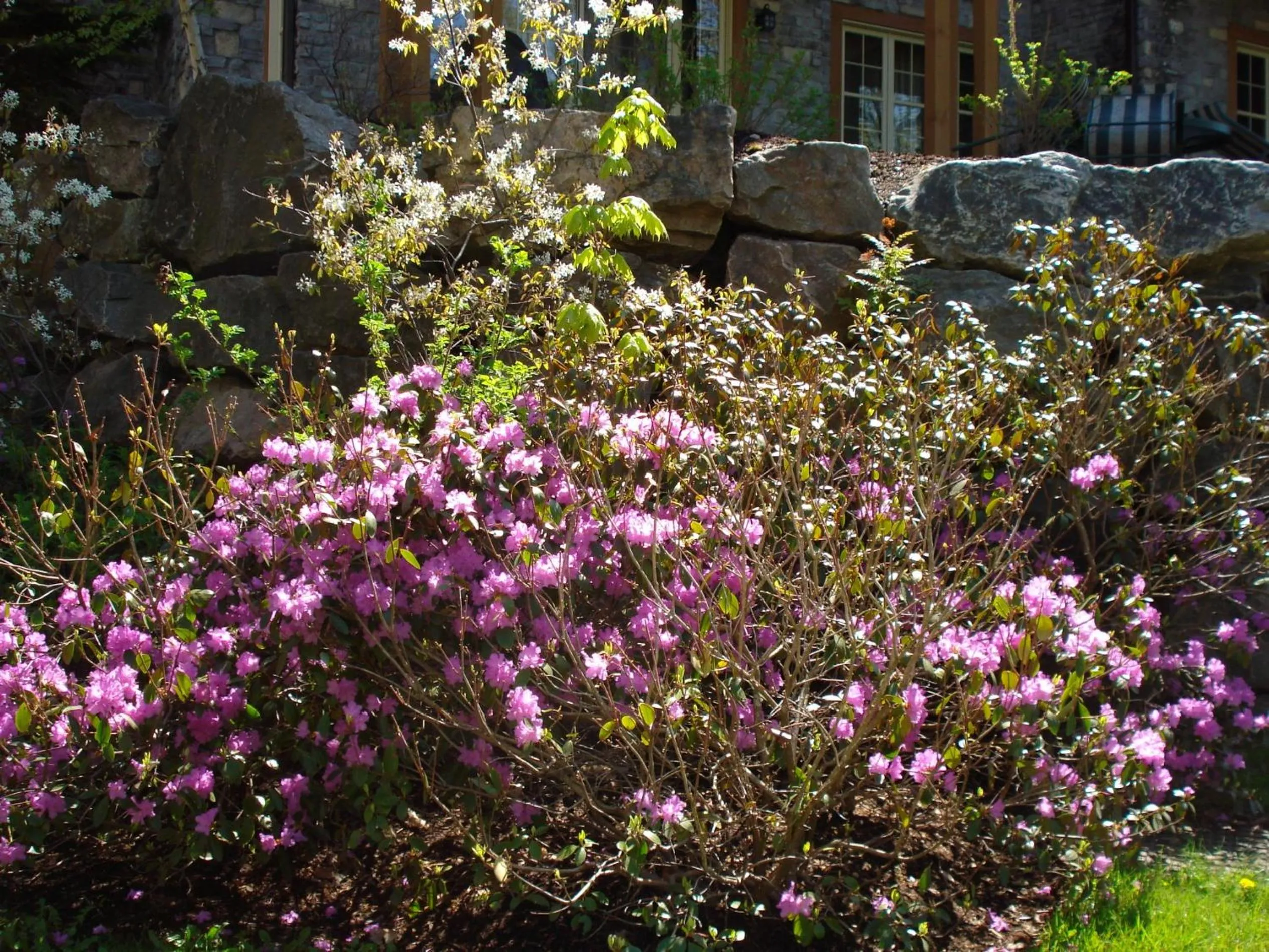 Area and facilities in Les Falaises by Rendez-Vous Mont-Tremblant