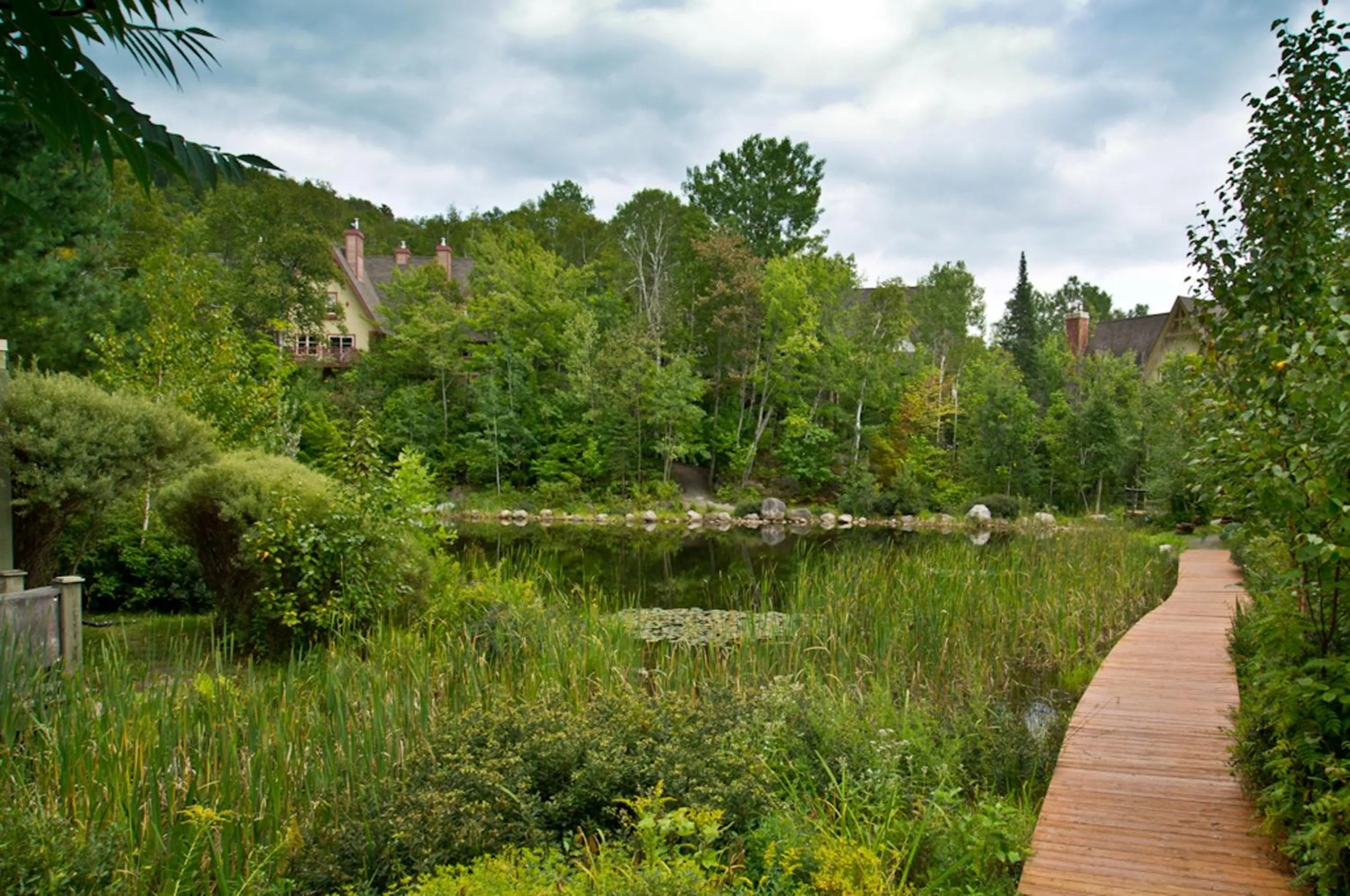 Natural landscape in Le Plateau by Rendez-Vous Mont-Tremblant