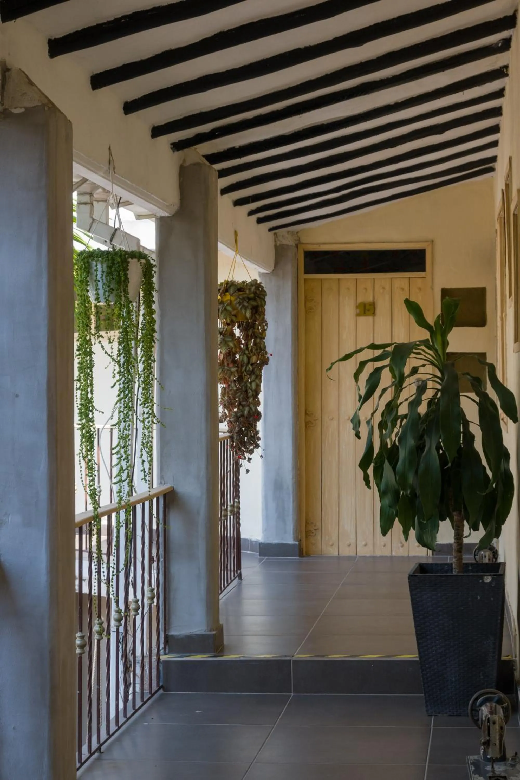 Garden in Corona Real