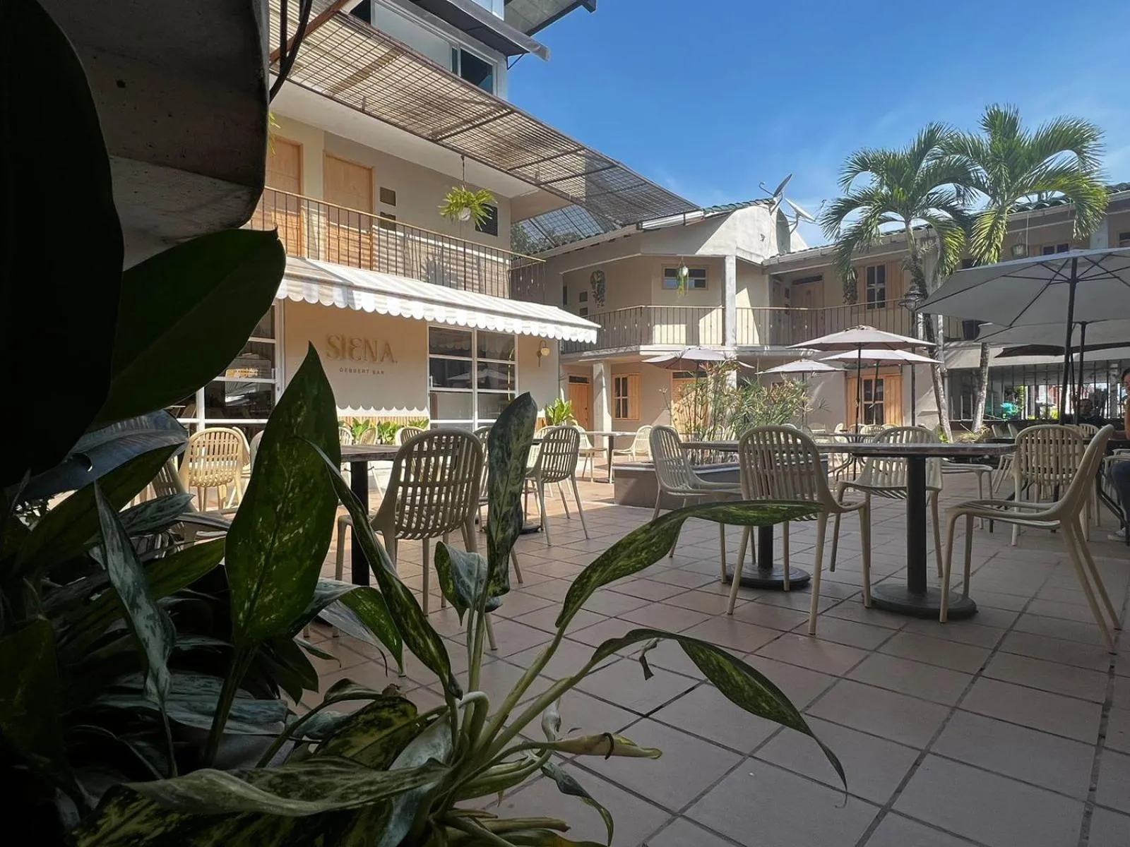 Restaurant/places to eat in Corona Real