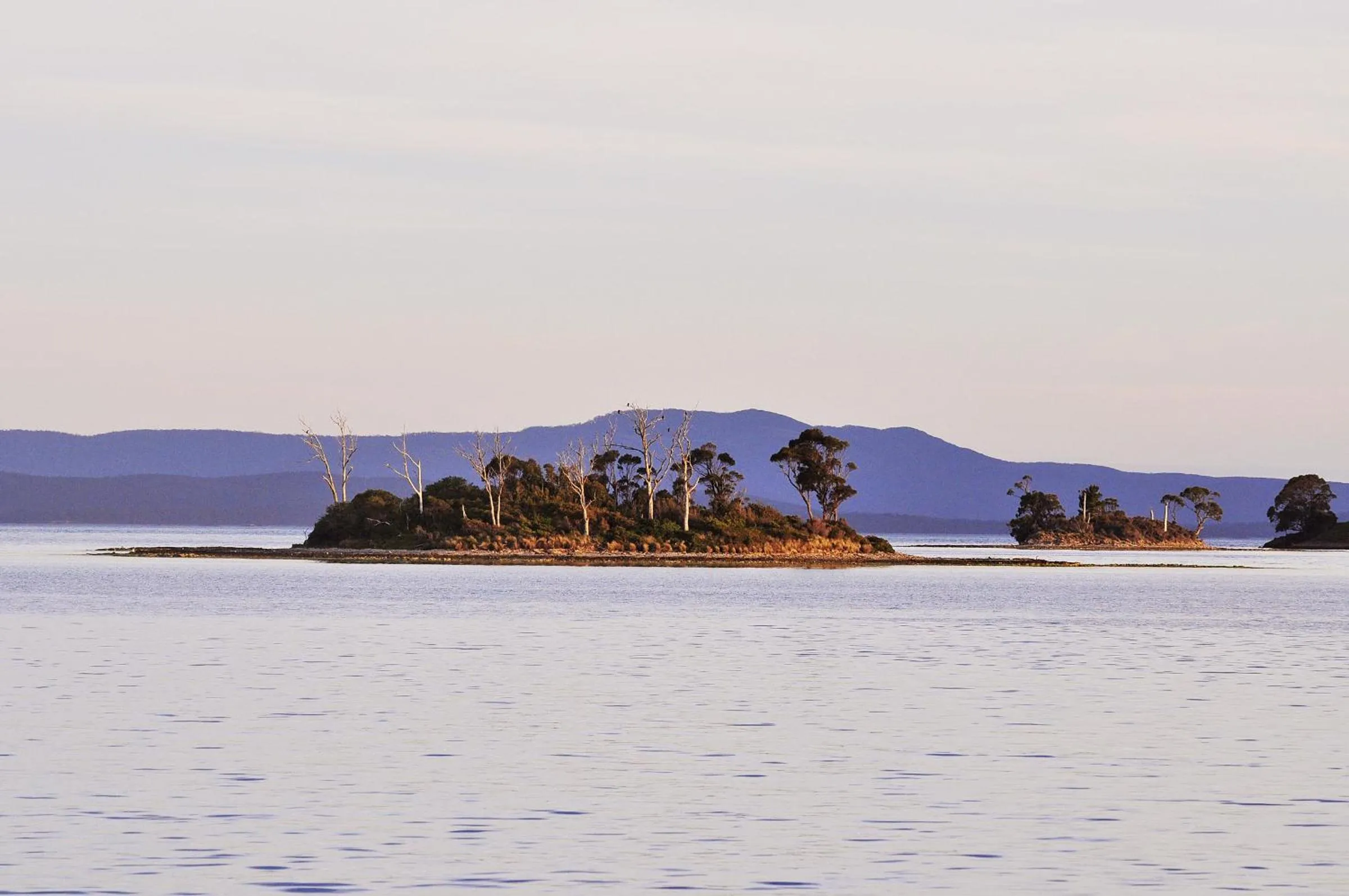 View (from property/room) in Smugglers Rest Apartments Dover