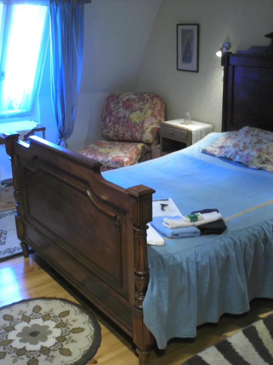 Bed in Maison de la Loire