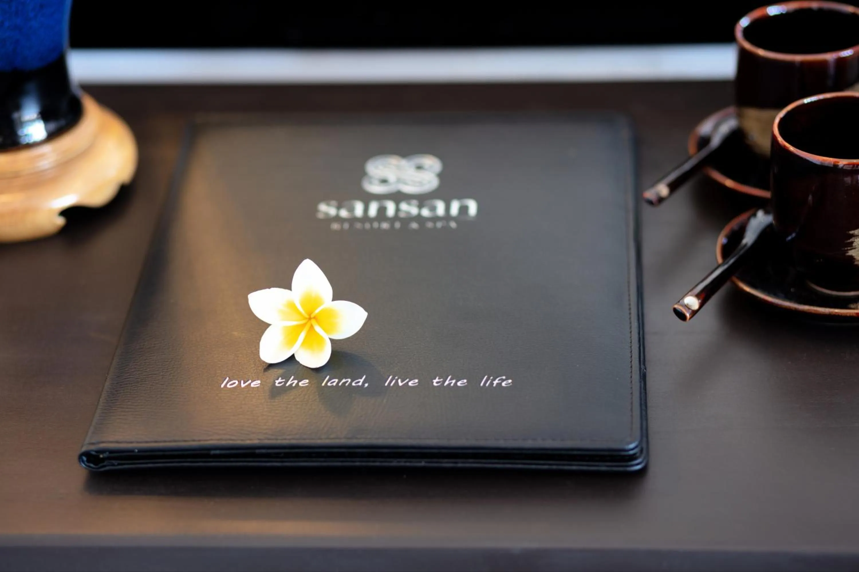 Decorative detail in Sansan Resort