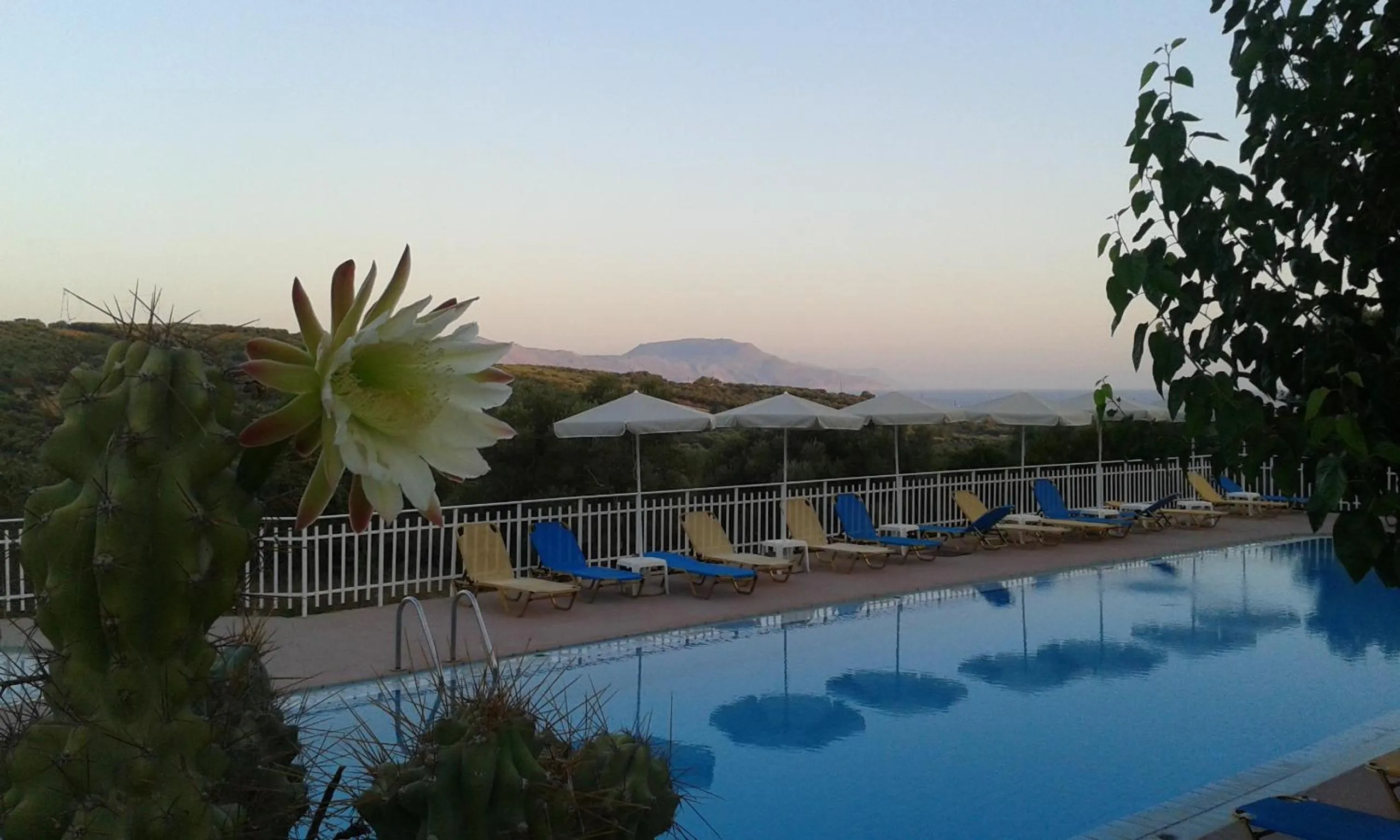 Swimming pool in Calamon Apartments