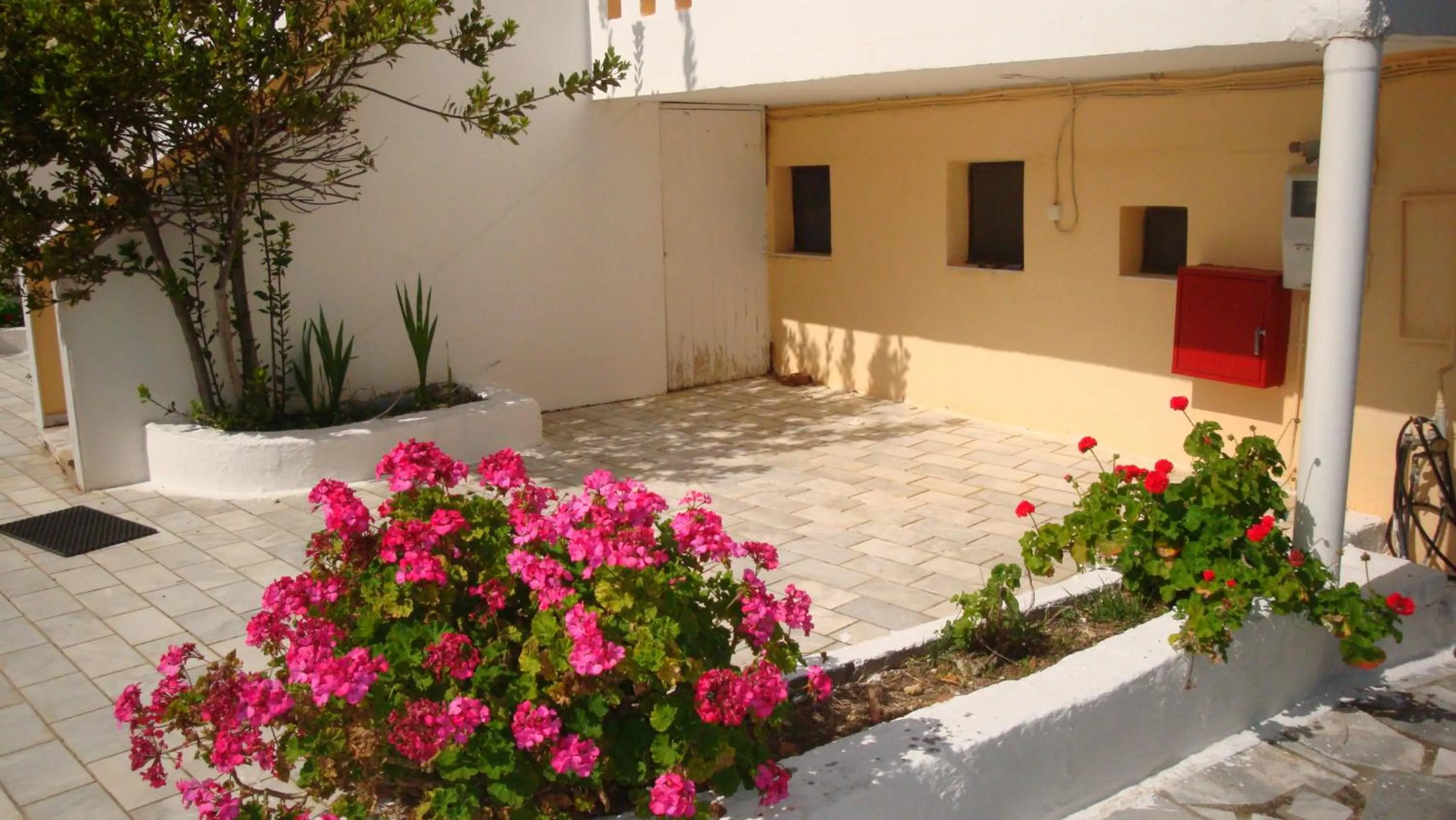 Garden in Calamon Apartments