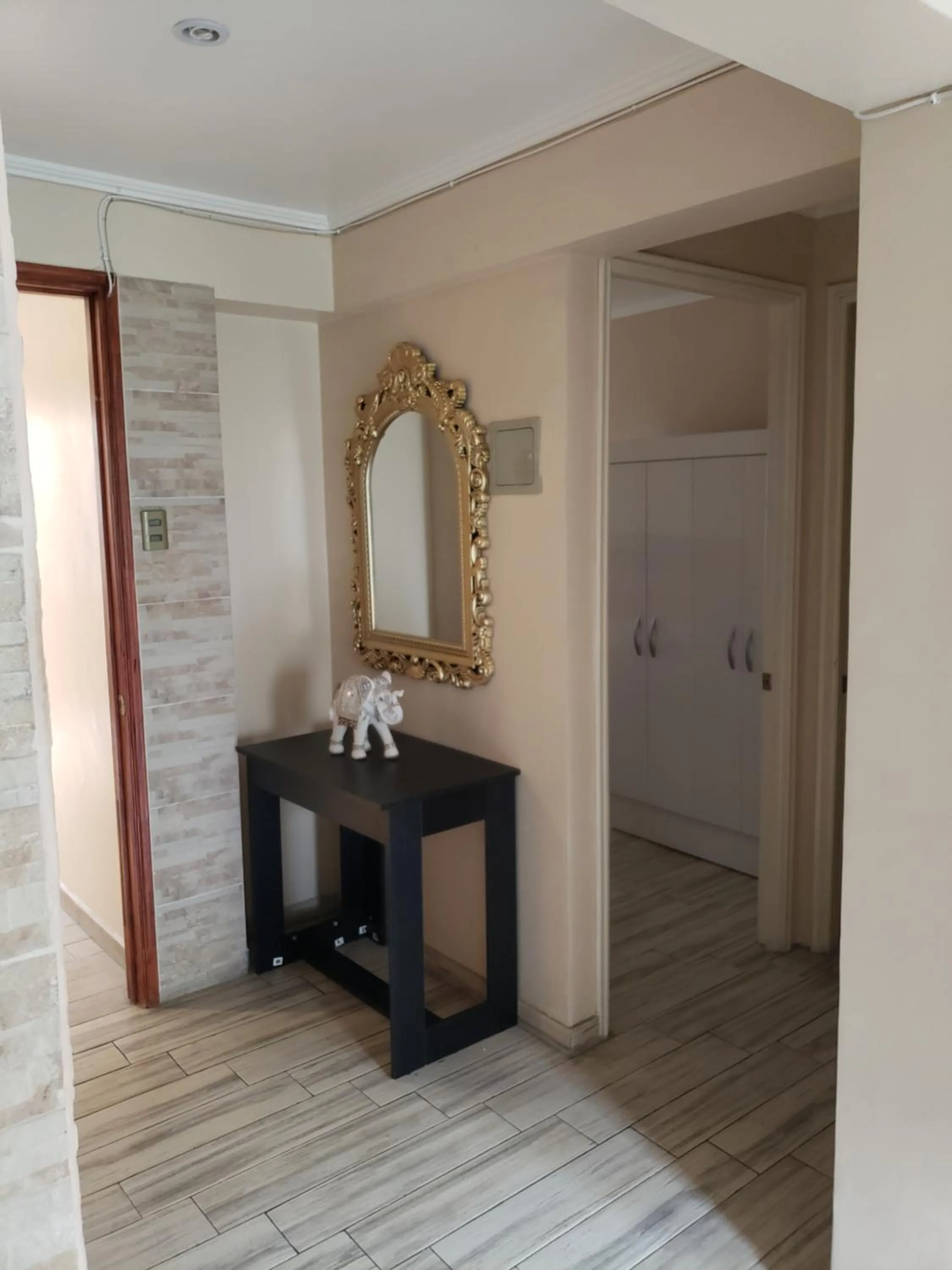 Living room in Santiago Rent Apart