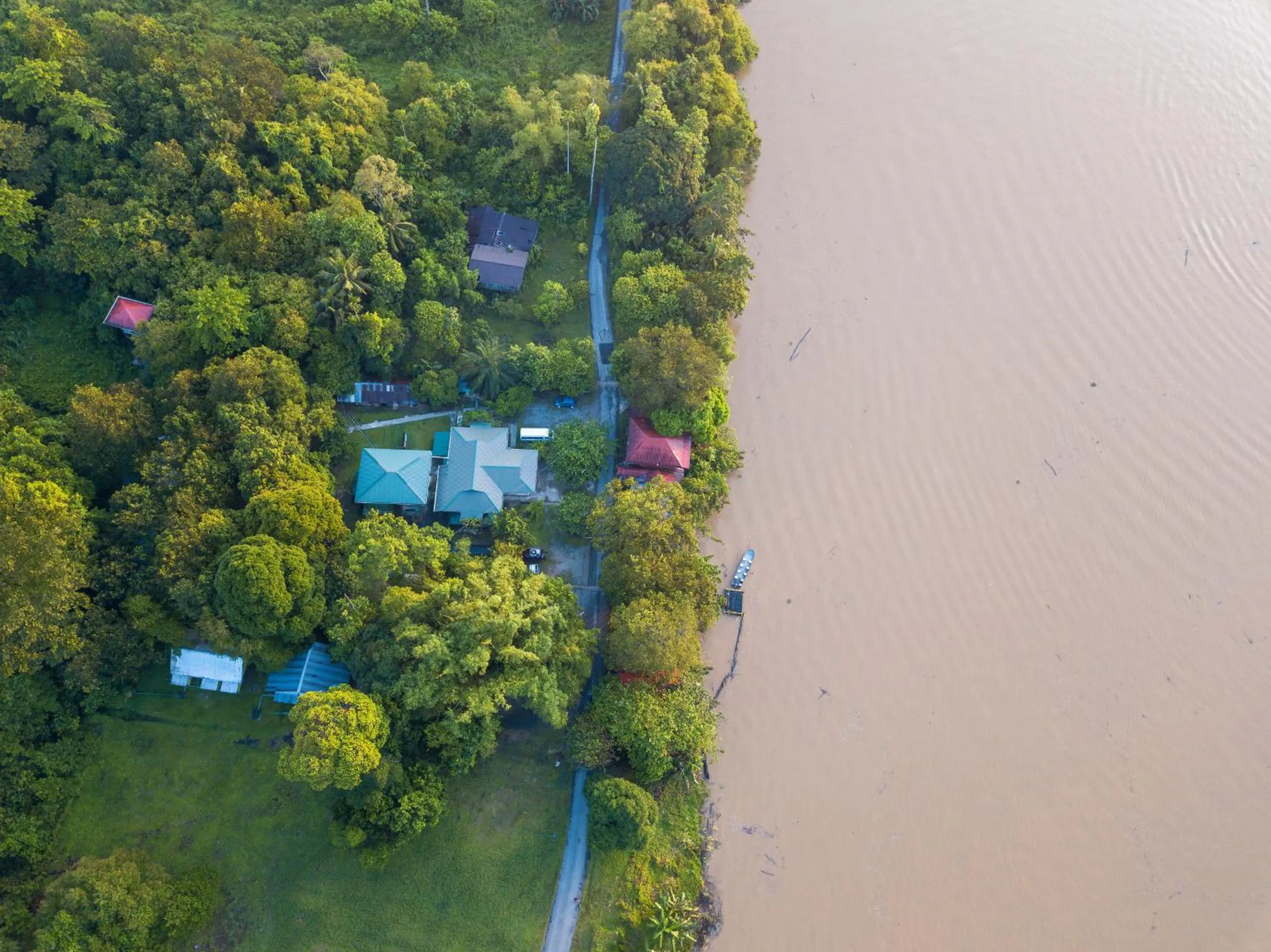 Sukau Greenview Lodge