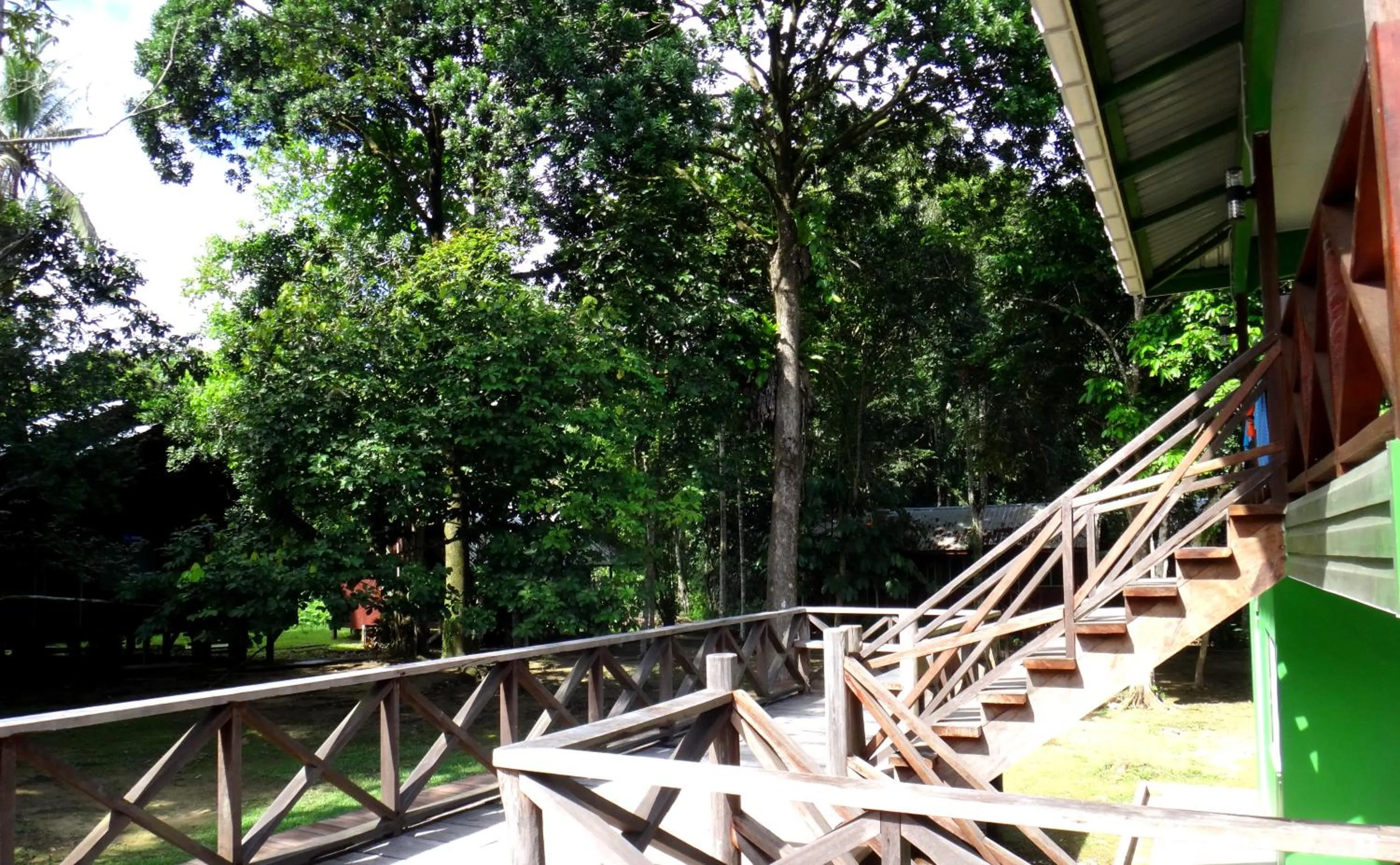 Sukau Greenview Lodge