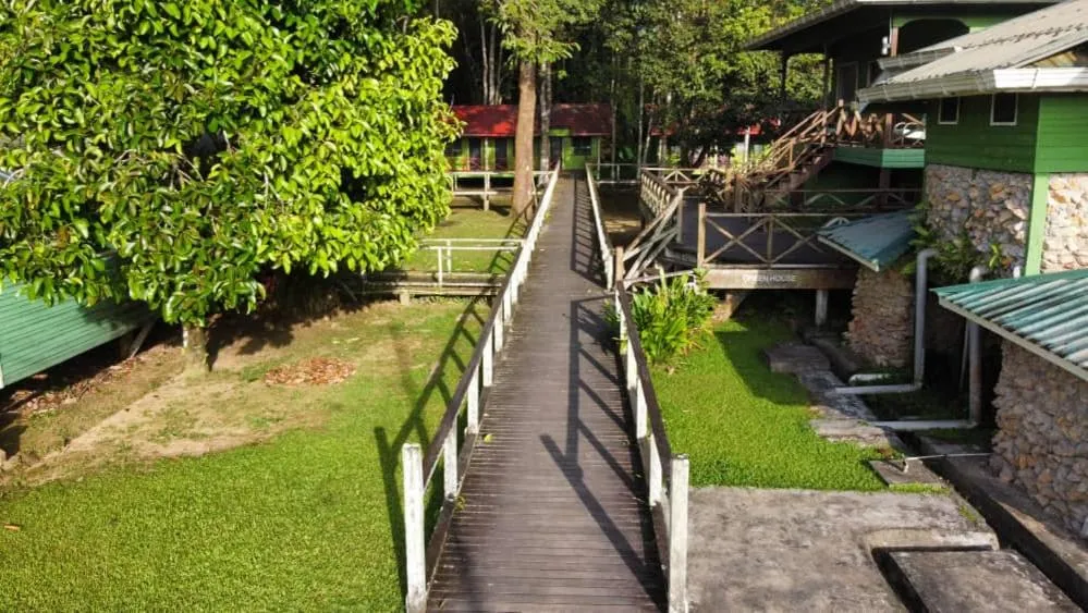 Sukau Greenview Lodge