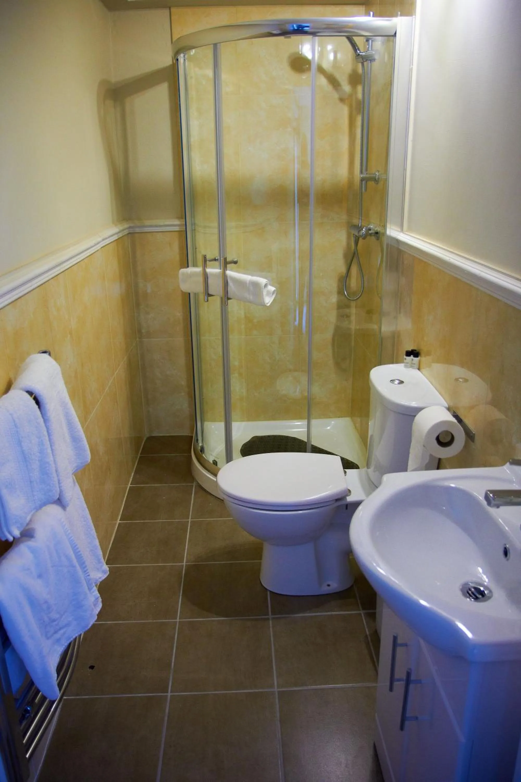 Toilet in Royal Valentia Hotel