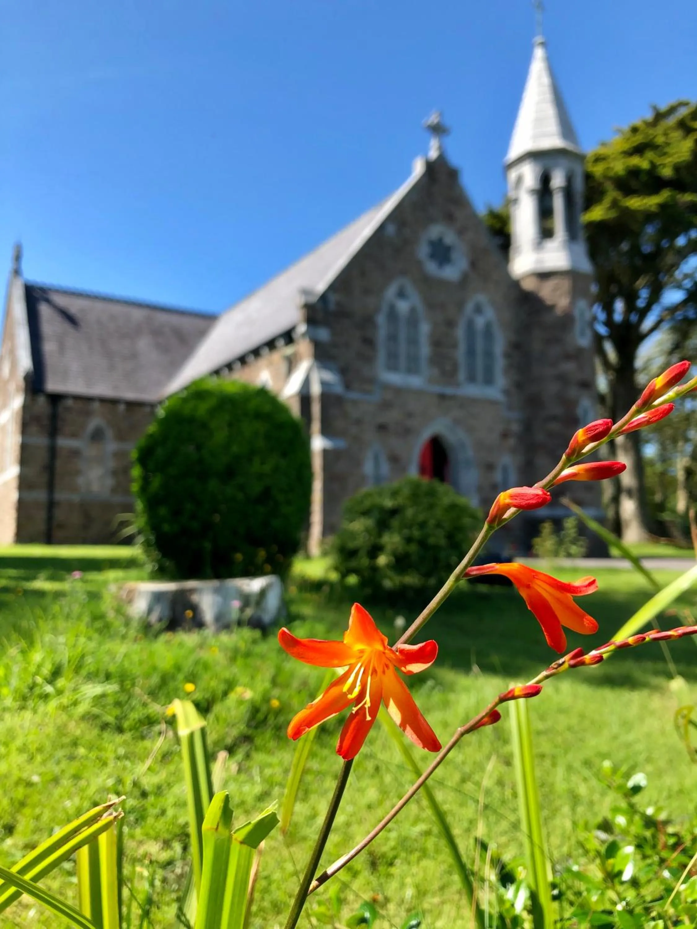 Spring in Royal Valentia Hotel