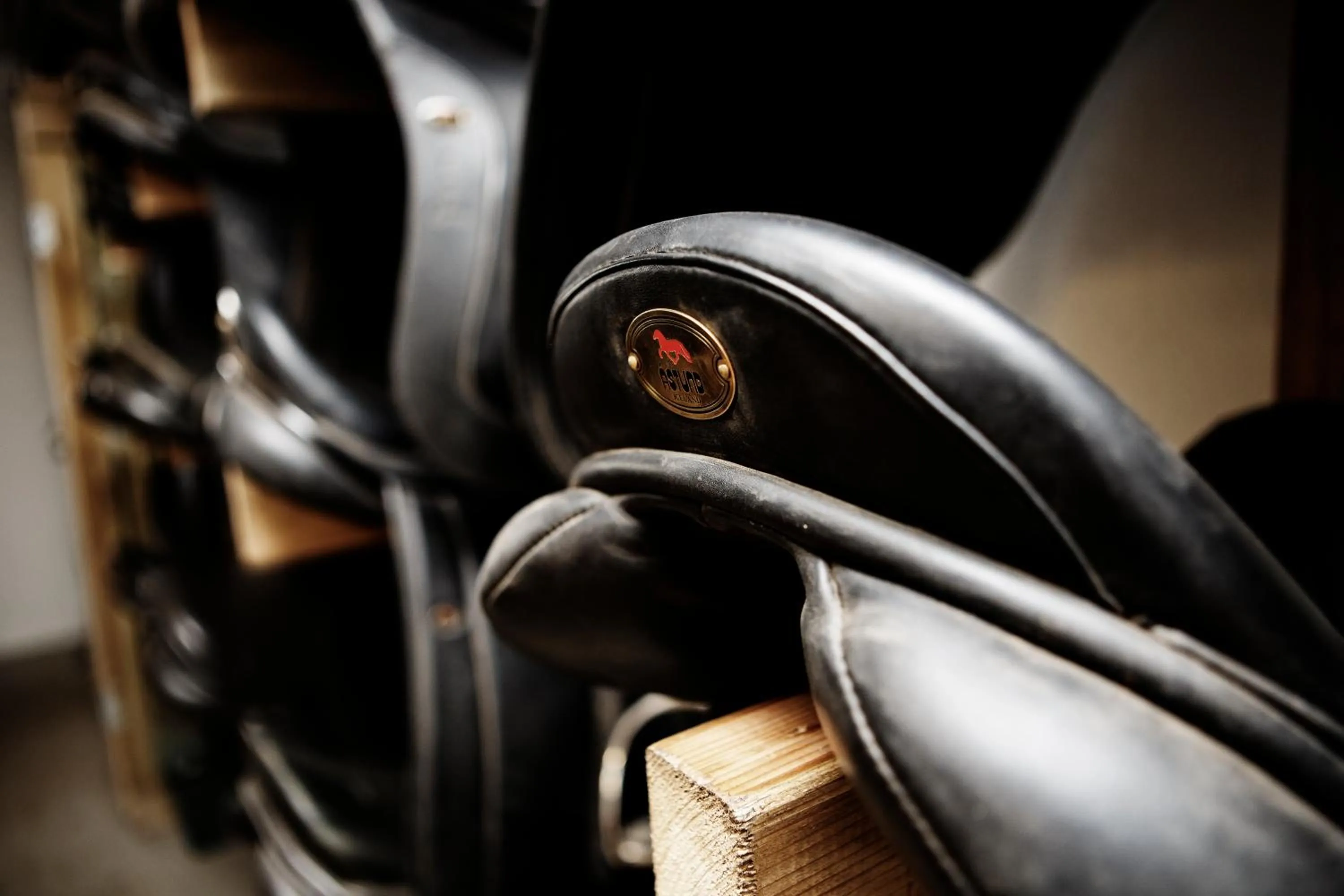 Horse-riding in Hestaland Guesthouse Horse Farm Stay